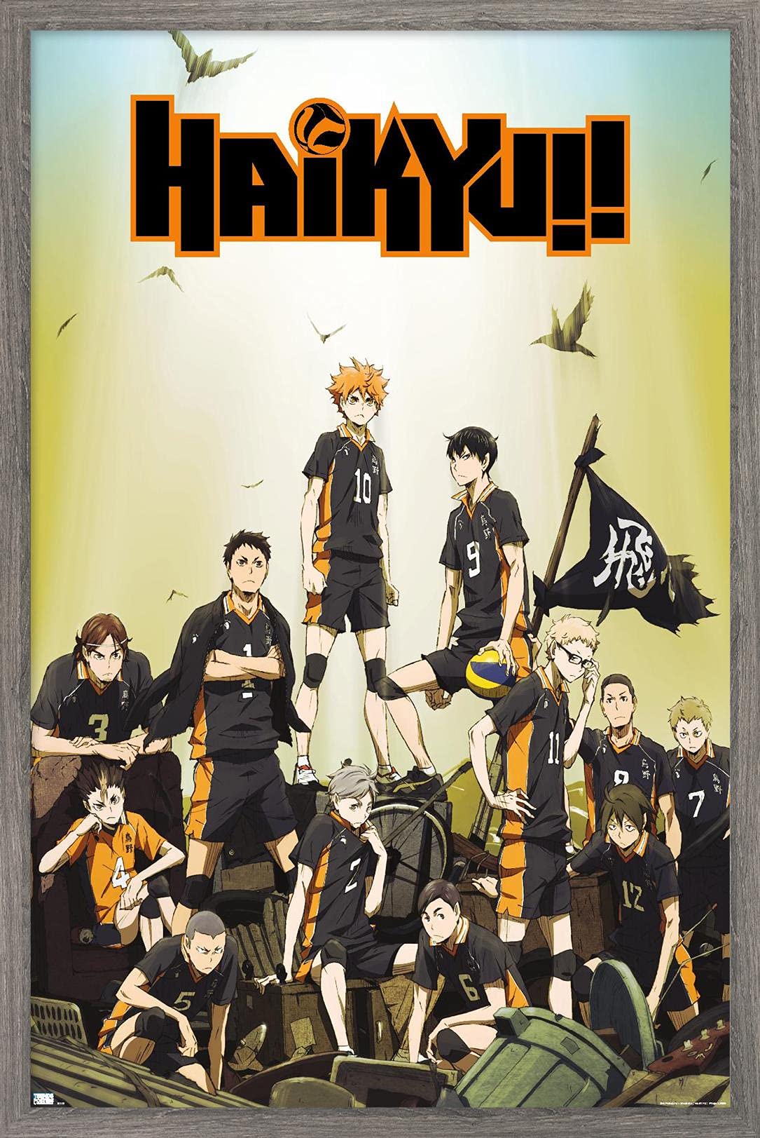 Trends International Haikyu!! - Key Art Wall Poster, 22.37'' X 34.00'', Barnwood Framed Version
