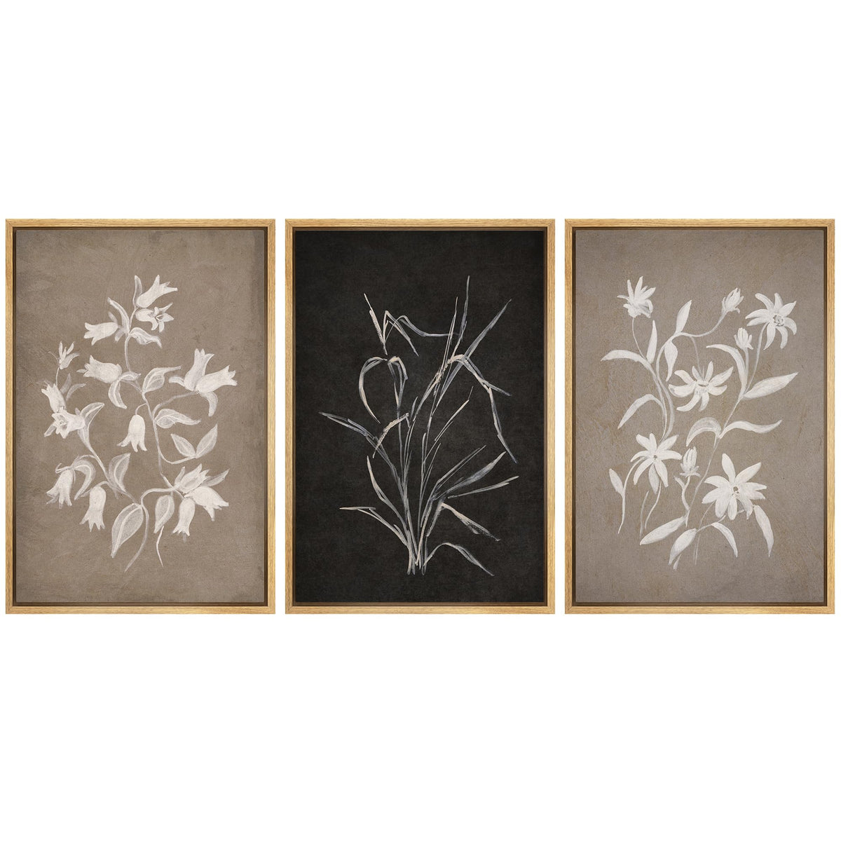 Mudecor Framed Wall Art Print Set Modern Monochrome Flower Illustrations Modern Art Boho Decorative Chic For Living Room, Bedroo