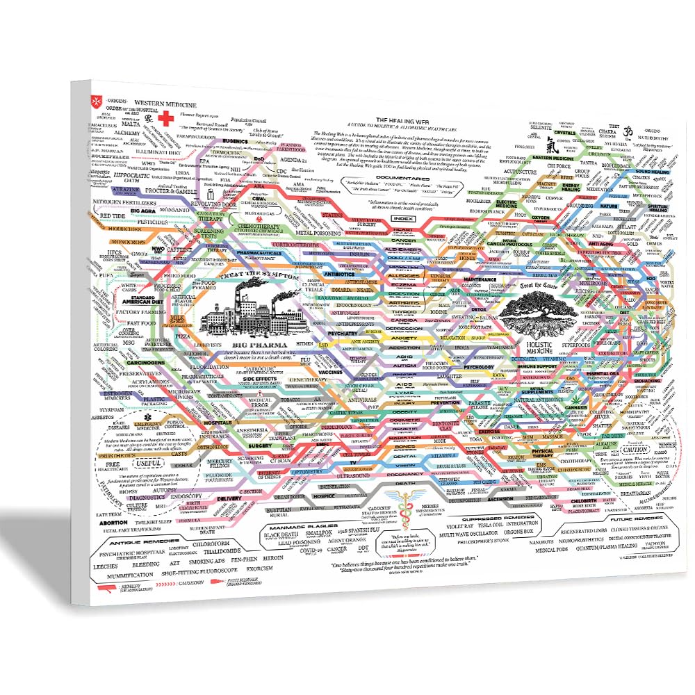 Renyqatt The Healing Web Poster Traditional Therapies For Health Issues Printed On Posters Wall Art Home Decoration 30X45Cm Unfr