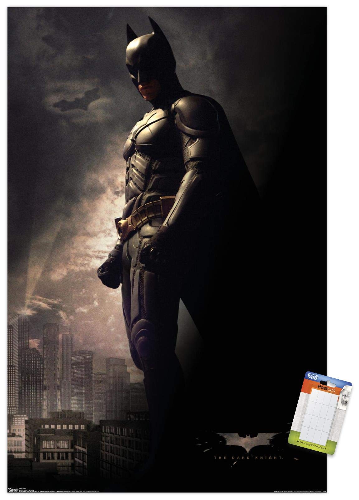 Trends International Dc Comics Movie - The Dark Knight - Batman In The Shadows Wall Poster, 22.375'' X 34'', Premium Poster & Mo