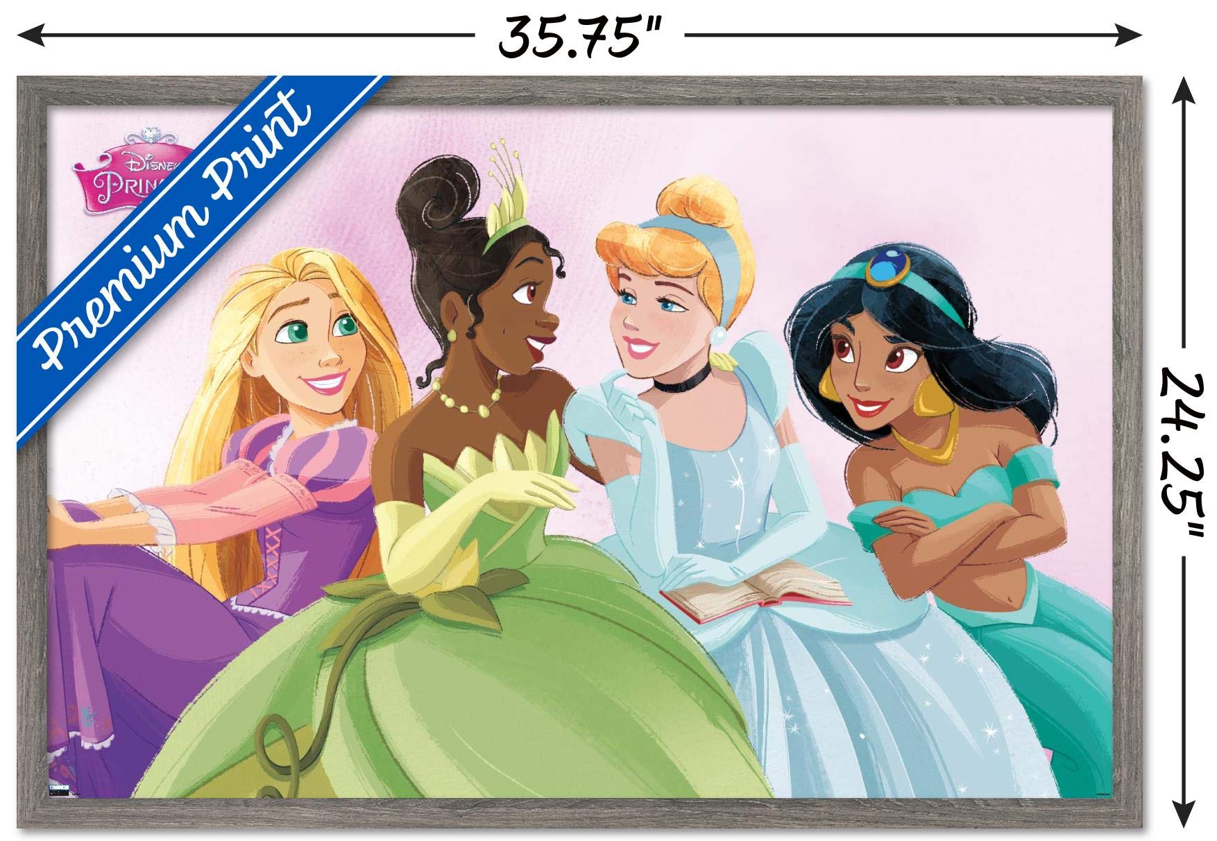 Trends International Disney Ultimate Princess Celebration Wall Poster, 34L x 22.4W, Barnwood Framed Version, Model FR20064BWD22X34
