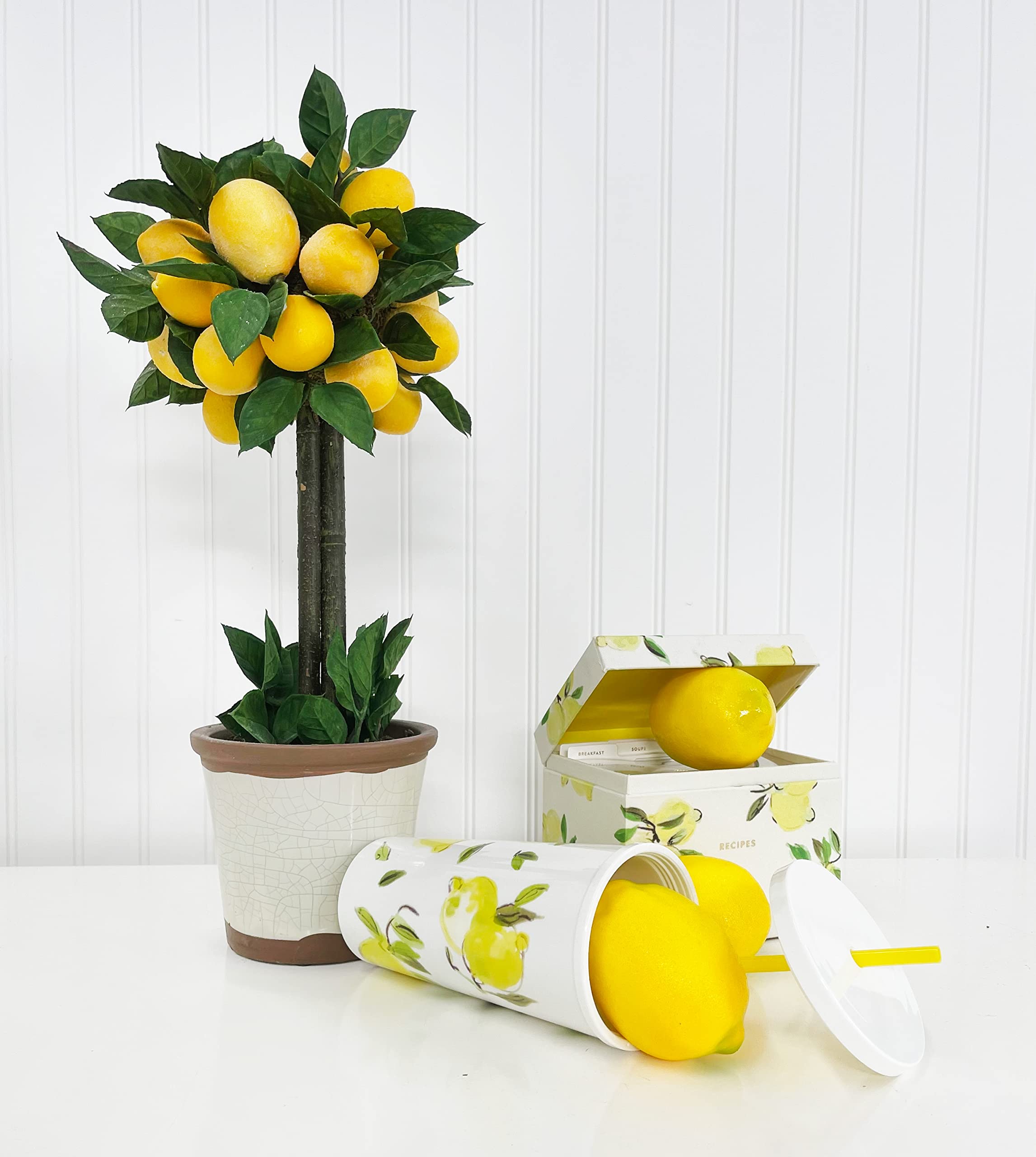 Kate Spade New York Insulated Tumbler with Reusable Straw  20 Ounce Travel Cup with Lid  Lemons