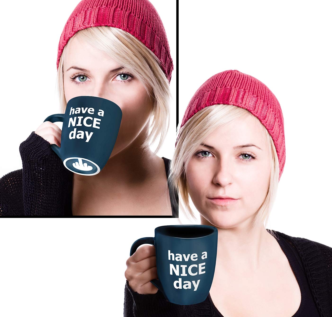 Decodyne Have A Nice Day Funny Coffee Mug, Funny White Elephant Gifts For Adults, Gag Gifts For Women And Men With Middle Finger