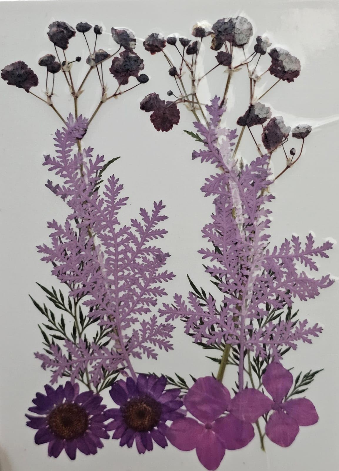 1 Box Natural Real Dried Hydrangea Flowers For Art Craft Mixed Soap, Candle, Scrapbook, Diy, Resin Tray Jewellery, Pendant (Hydr