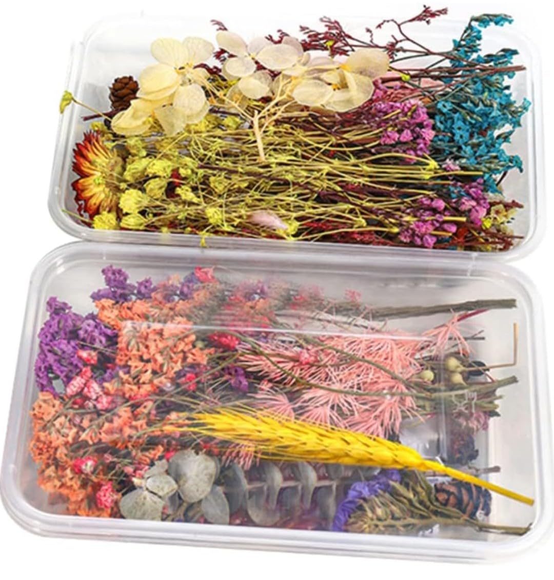Vrb Dectm 1 Box Natural Real Dried Flowers For Art Craft/Rasin Art Kit - Mixed & Multicolor For Soap, Artificial Candles,Scrapbo