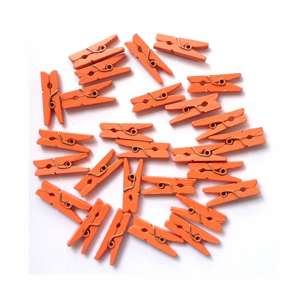 Lwr Crafts Wooden Mini Clothespins 200 Per Pack 1'' 2.5Cm (Orange)