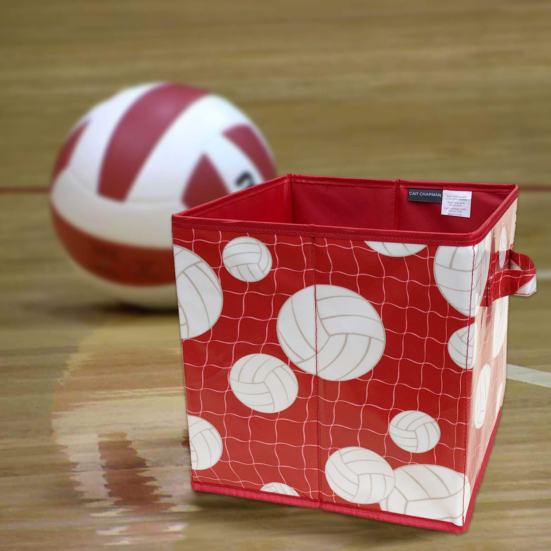 Passion For Volleyball Collection 11''X11''X11'' Storage Bin