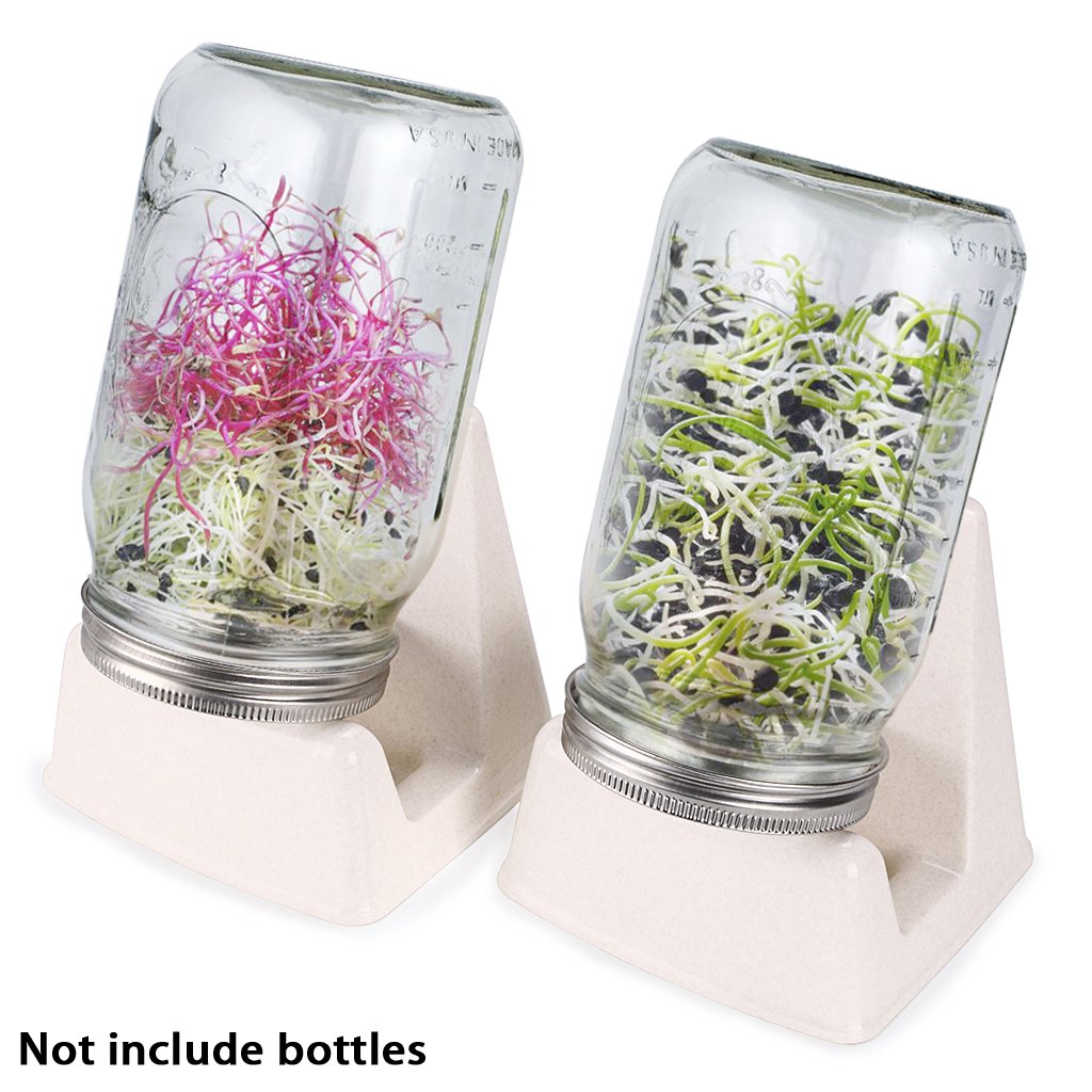 Sumnacon Sprouting Jar Stand - 3 Pcs with Water Tray for Mason Jars - Ideal for Broccoli, Lentil & Bean Sprouts