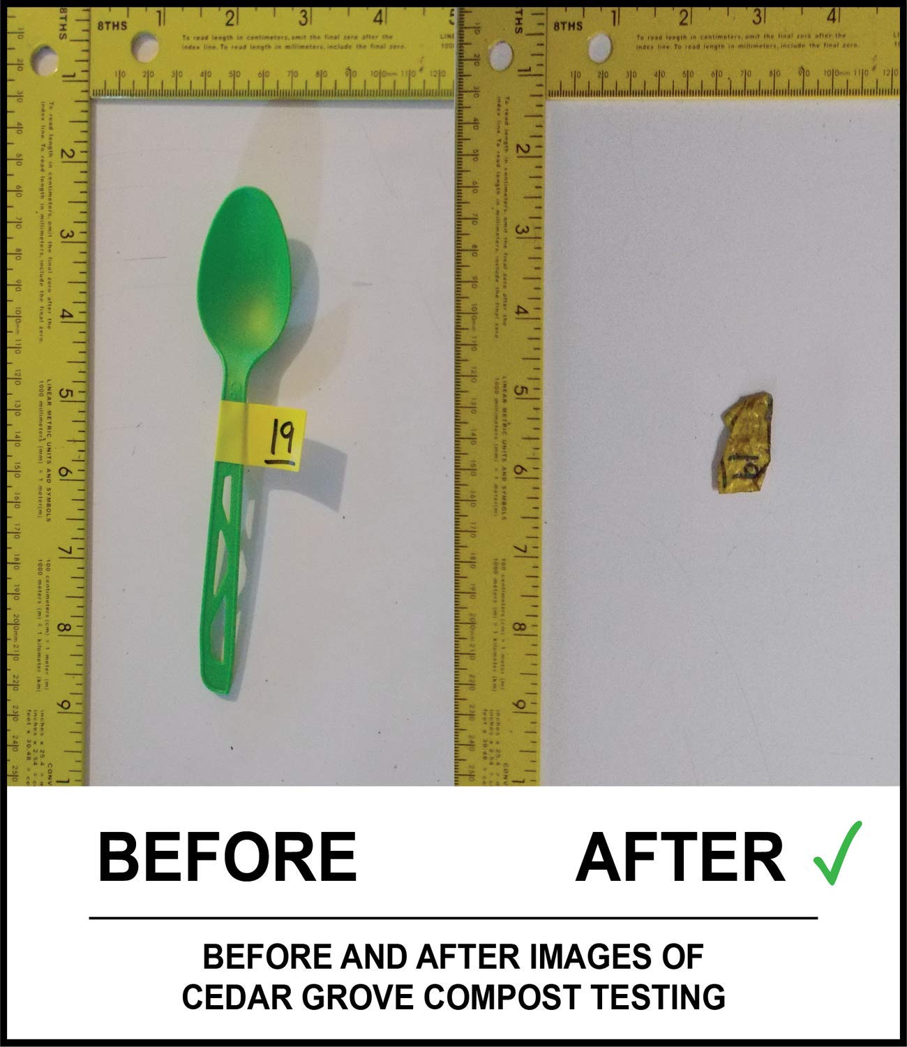 Transitions2Earth Compostable Spoons - Made From Corn - Box Of 200 (7.6 Inches) - Green - Large, Heavyweight, Plant Based, Non-G