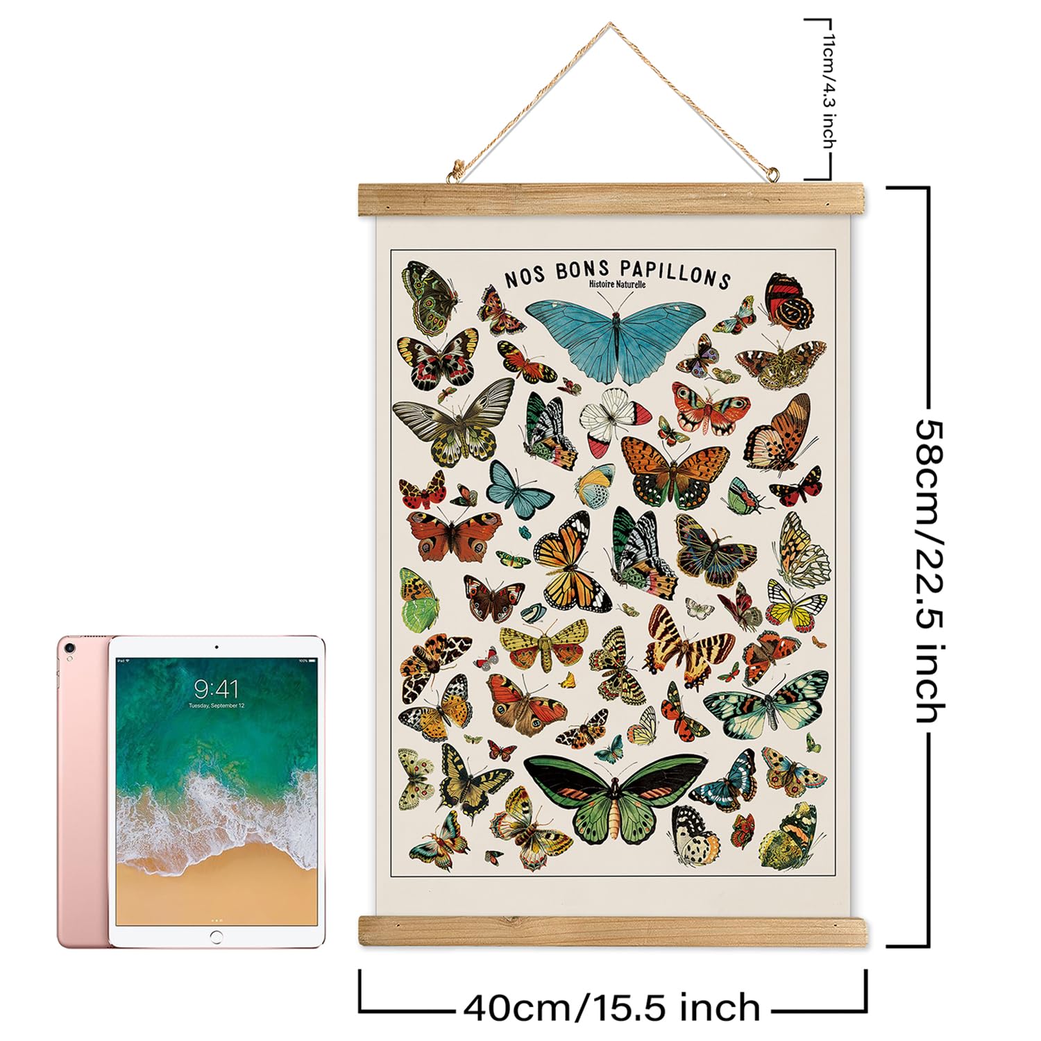 XIAOAIKA Vintage Butterfly Poster Hanger Frame  Cottagecore Room Decor Aesthetic  Retro Style Wall Decor Art Painting  Patterns are Printed on Linen Without Fading (16'' x 23'')