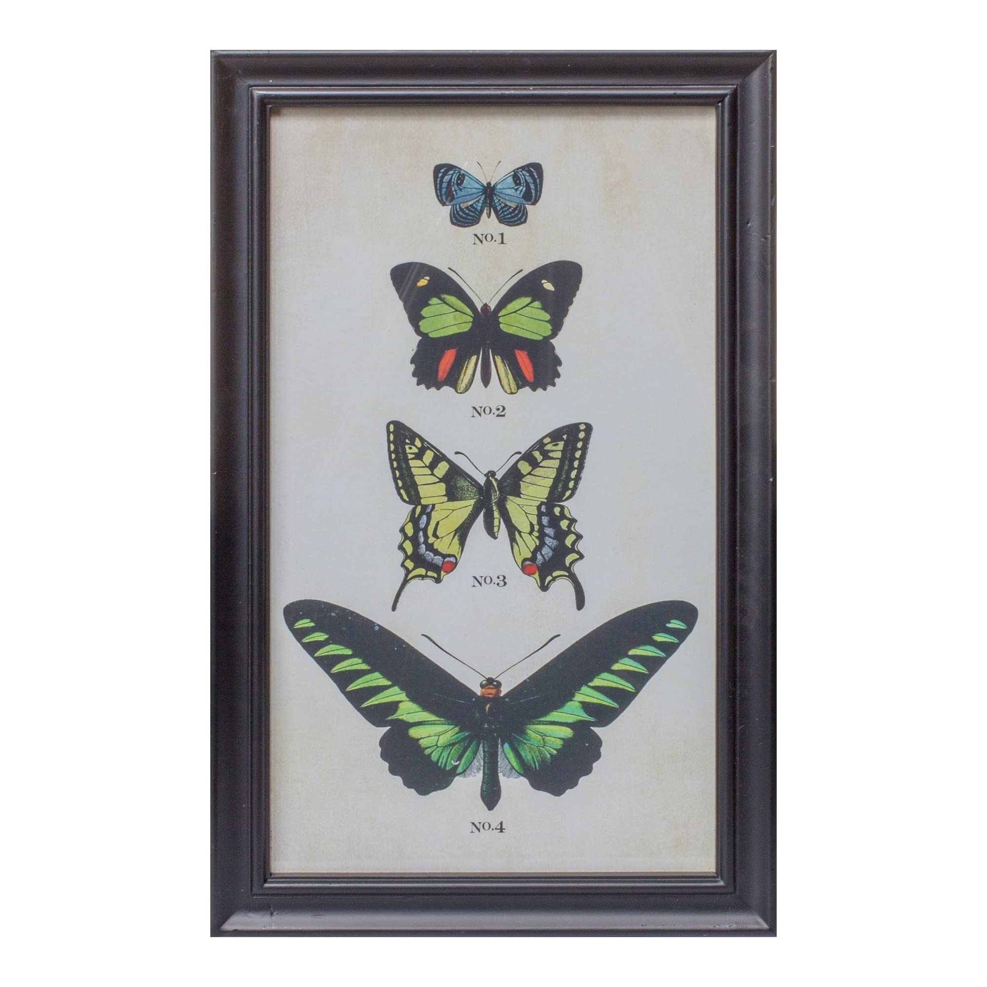Framed Butterfly Print (Set Of 2)