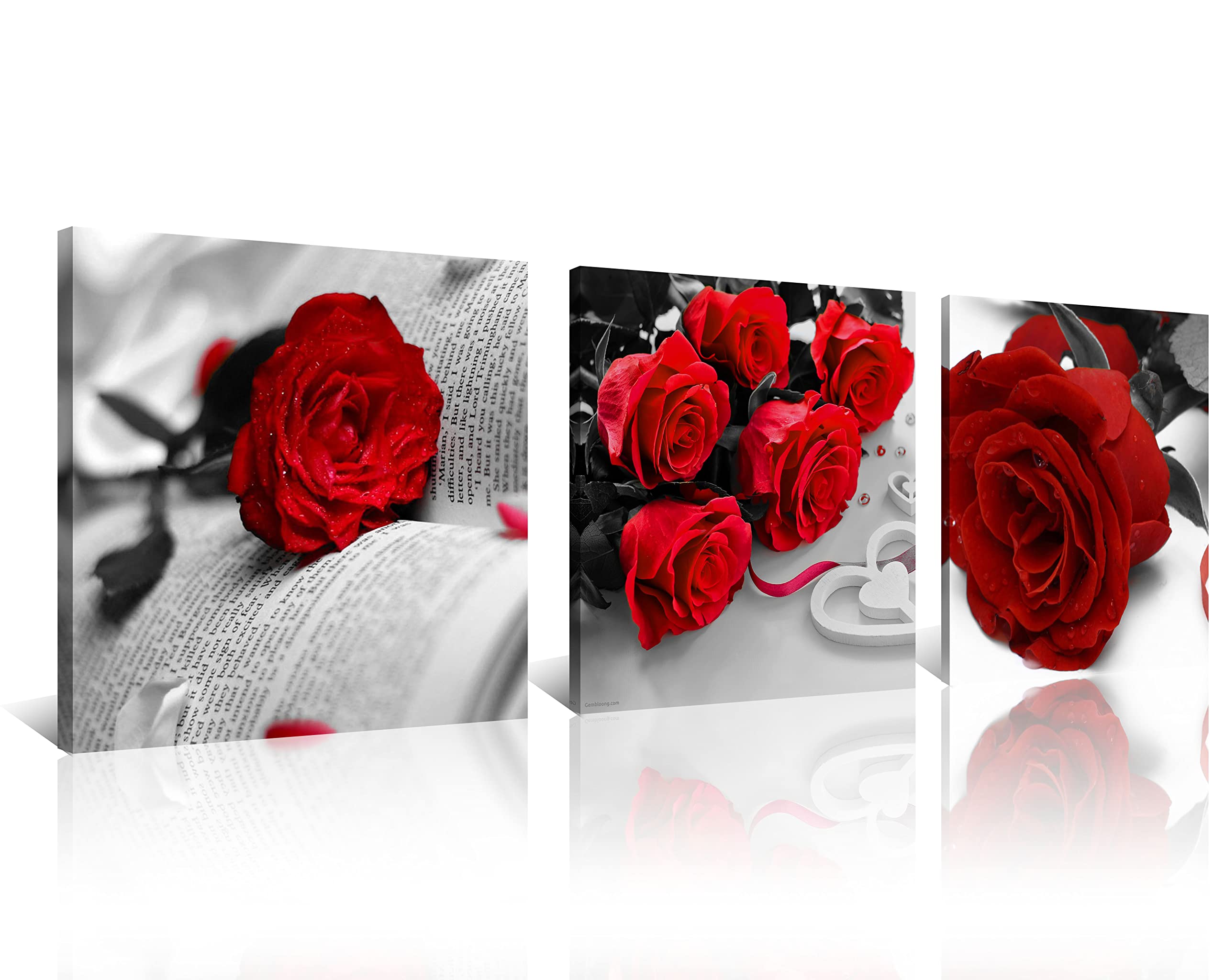 Nan Wind 3 Pcs Black White With Red Wall Art Red Rose Wall Decor Abstract Decorations Flower Picture On Canvas For Home Decor St