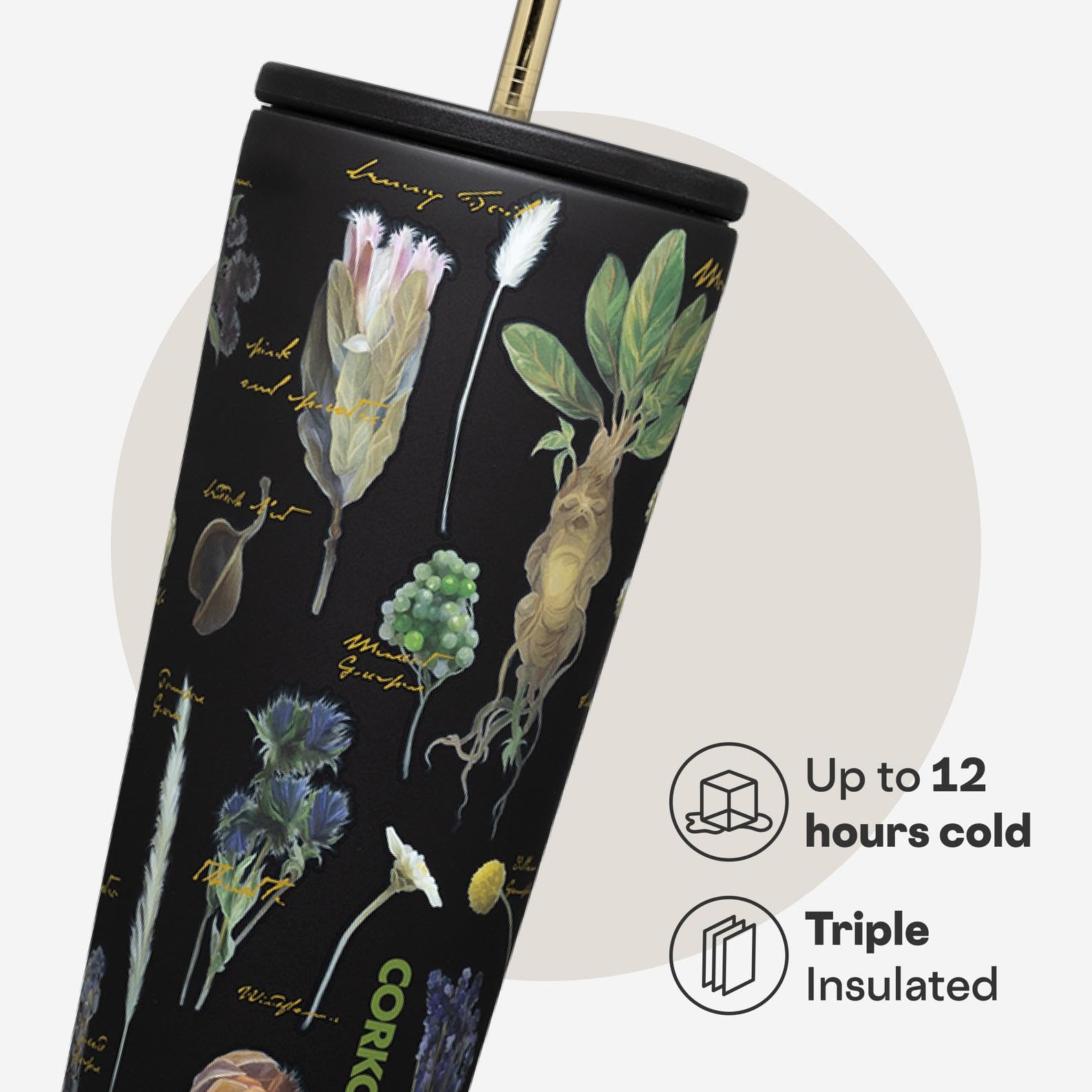 Corkcicle Warner Brothers Cold Cup - Keeps Drinks Cold for 12 Hours - Triple-Insulated Stainless Steel - Straw & Screw-On Lid -