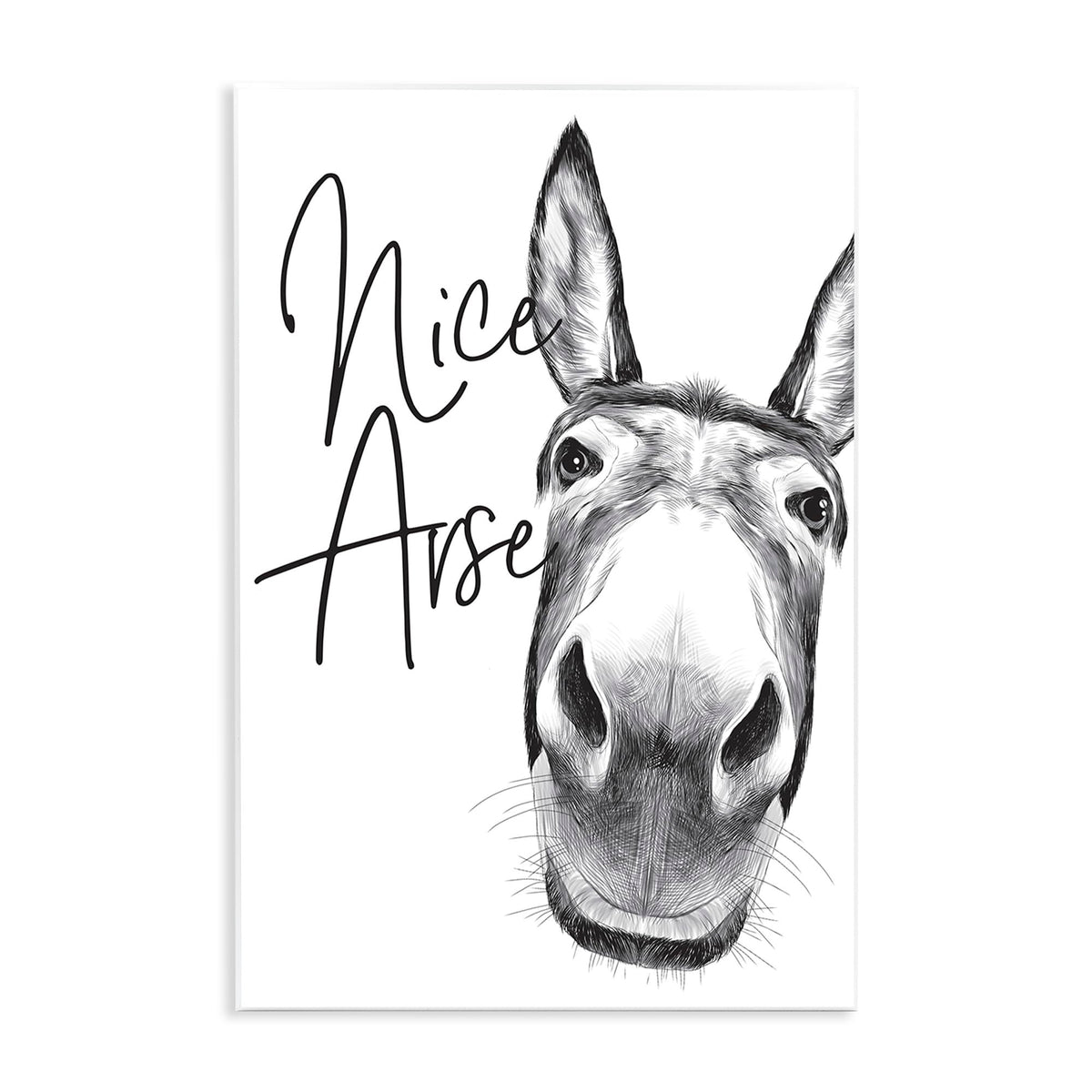 Stupell Industries Animal Humor Nice Arse Donkey Bathroom Phrase, Designed By Lettered And Lined Wall Art, 13X19