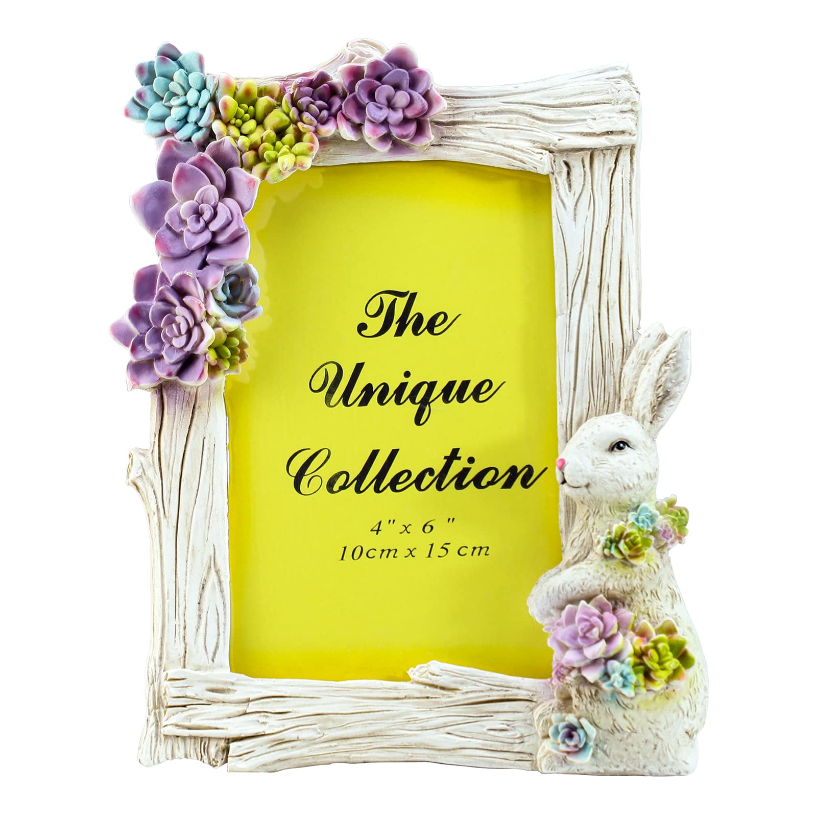 WAIT FLY 4 X 6 Inch Bunny and Succulent Resin Card Photo Frame Picture Frame for Desktop Table