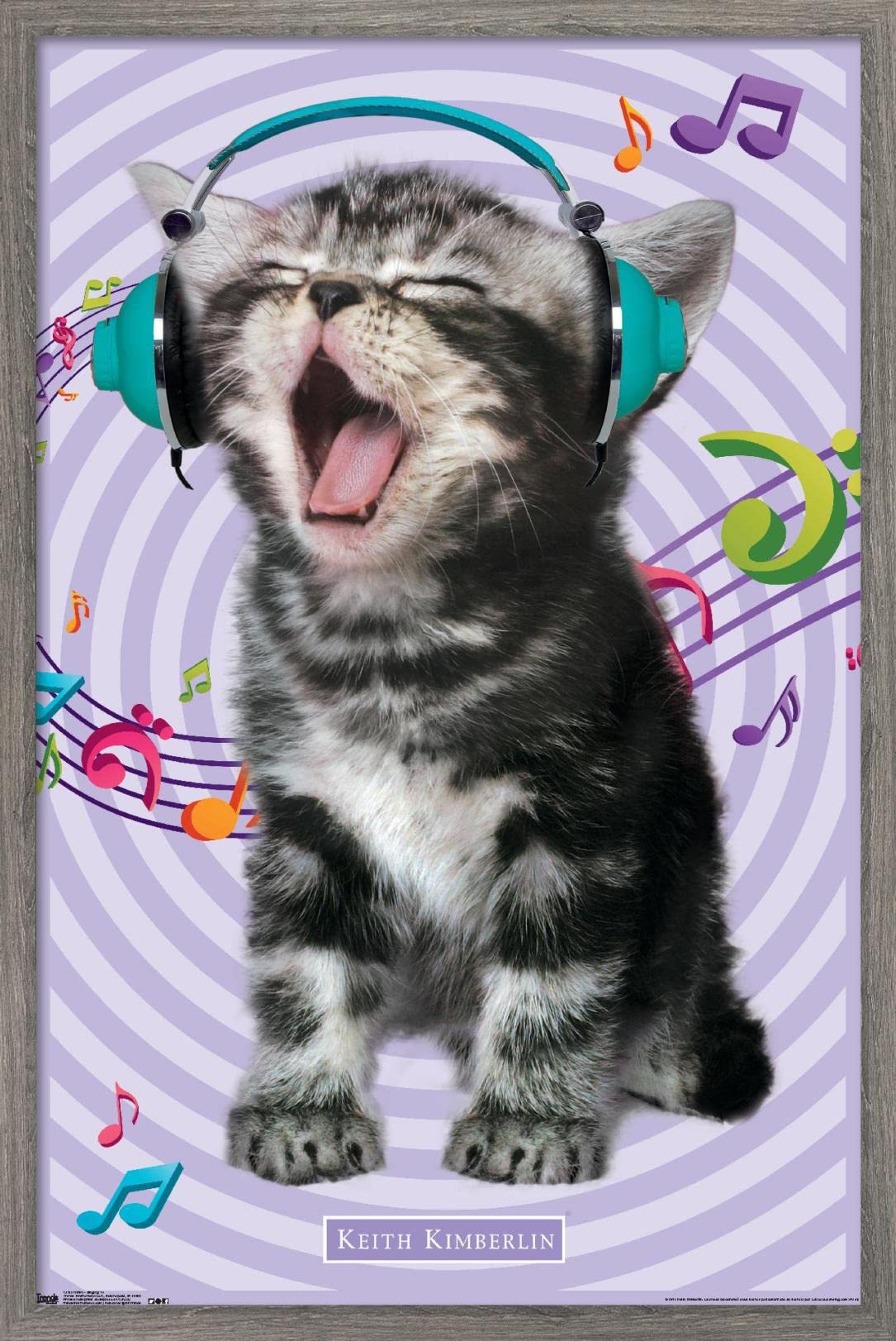 Trends International Keith Kimberlin - Kitten - Singing Wall Poster, 22.375'' X 34'', Barnwood Framed Version