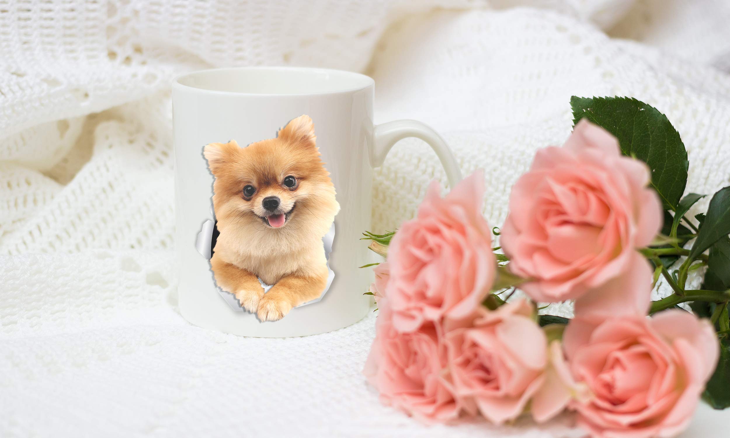 Winston & Bear Cute Pomeranian Coffee Mug - German Spitz Ceramic Mug - Cute Pompom Cup For Pomeranian Mom And Dad (11Oz)