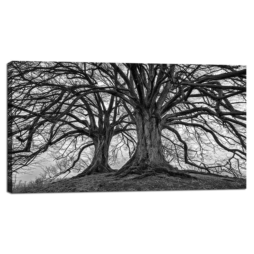 Visual Art Decor Large Black And White Trees Canvas Wall Art Winter Oak Trees Branches Picture Nature Scenery Giclee Prints Fram