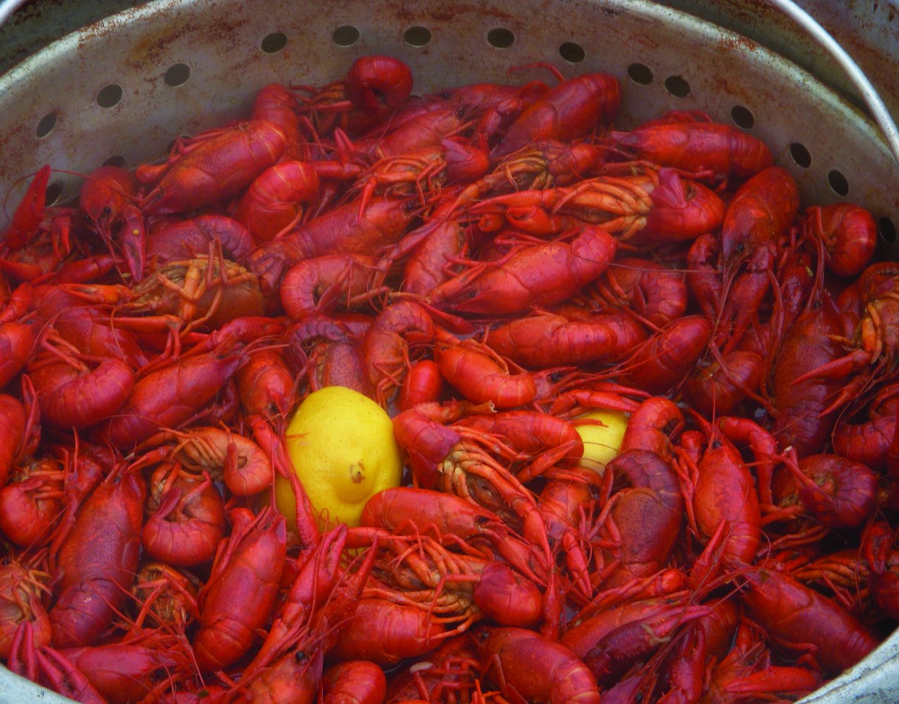 King Kooker Kk100 100-Quart Aluminum Boiling Pot