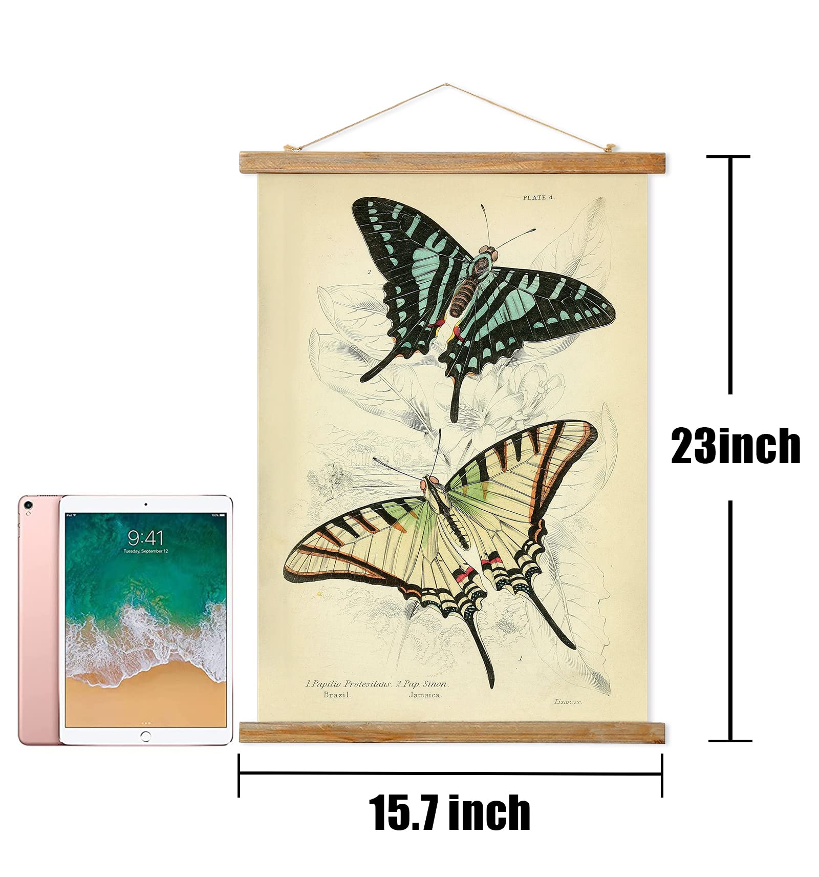 Retro Butterfly Poster Hanger Frame, Retro Style Wall Art Prints, Printed On Linen With Natural Wooden Frames, For Living Room O