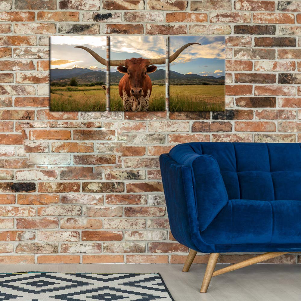 Iknow Foto 3 Piece Highland Cow Canvas Wall Art Prints Longhorn Photo Contemporary Paintings Farm Animals Pictures Giclee Artwor