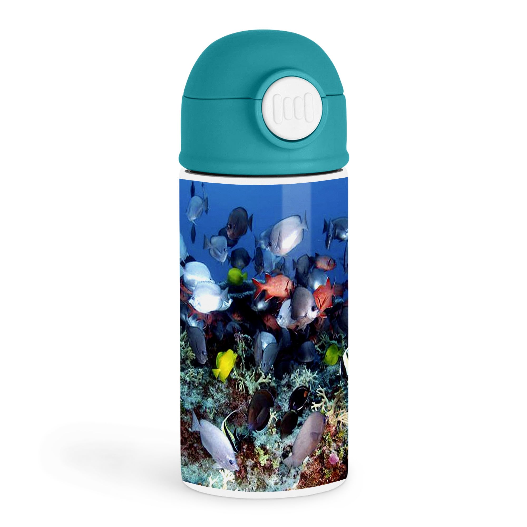 Inspirational Ocean Lover 12oz Kids Green Bottle  Colorful underwater scene with various fish  School Lunch, Beach Day