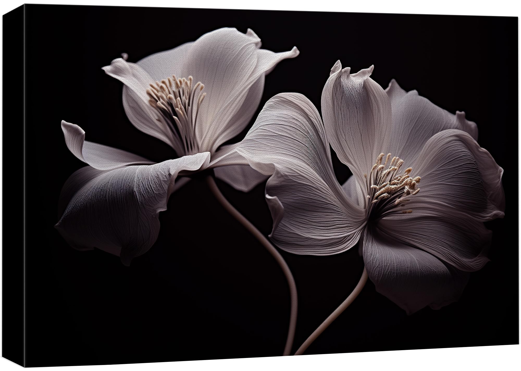 Wall26 Canvas Print Wall Art White Clematis Flower Closeup Nature Wilderness Photography Realism Modern Art Decorative Country M