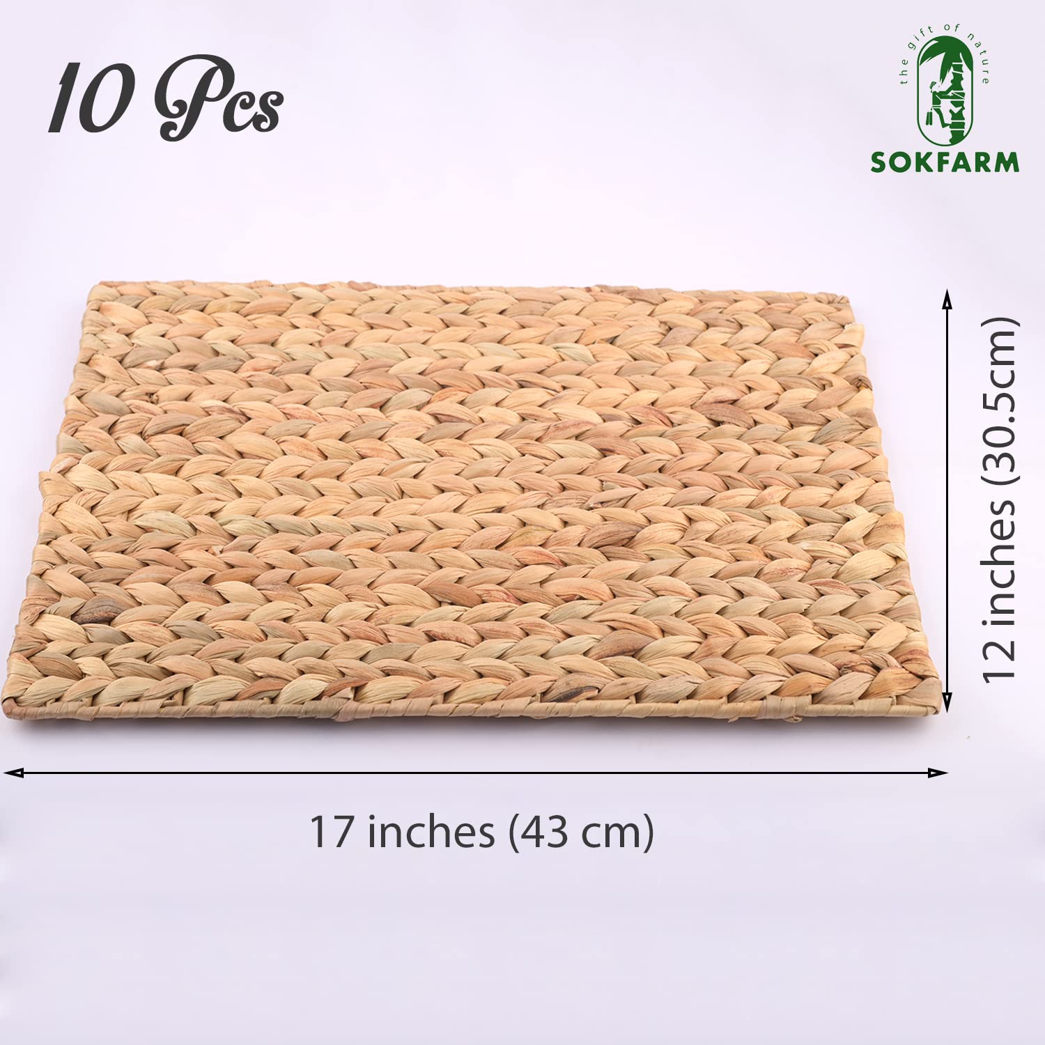 Rectangular Woven Placemats Set Of 10, Natural Water Hyacinth Place Mats, Boho Placemats, Wicker Placemats, Kitchen And Dining T