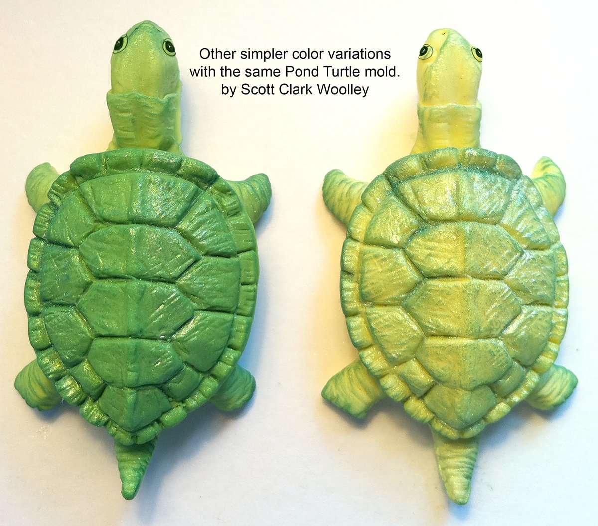 Scott Clark Woolley Pond Turtle Silicone Mold