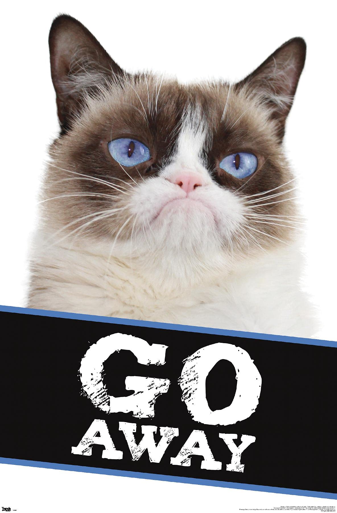Trends International Grumpy Cat Go Away Wall Poster 22.375'' X 34''