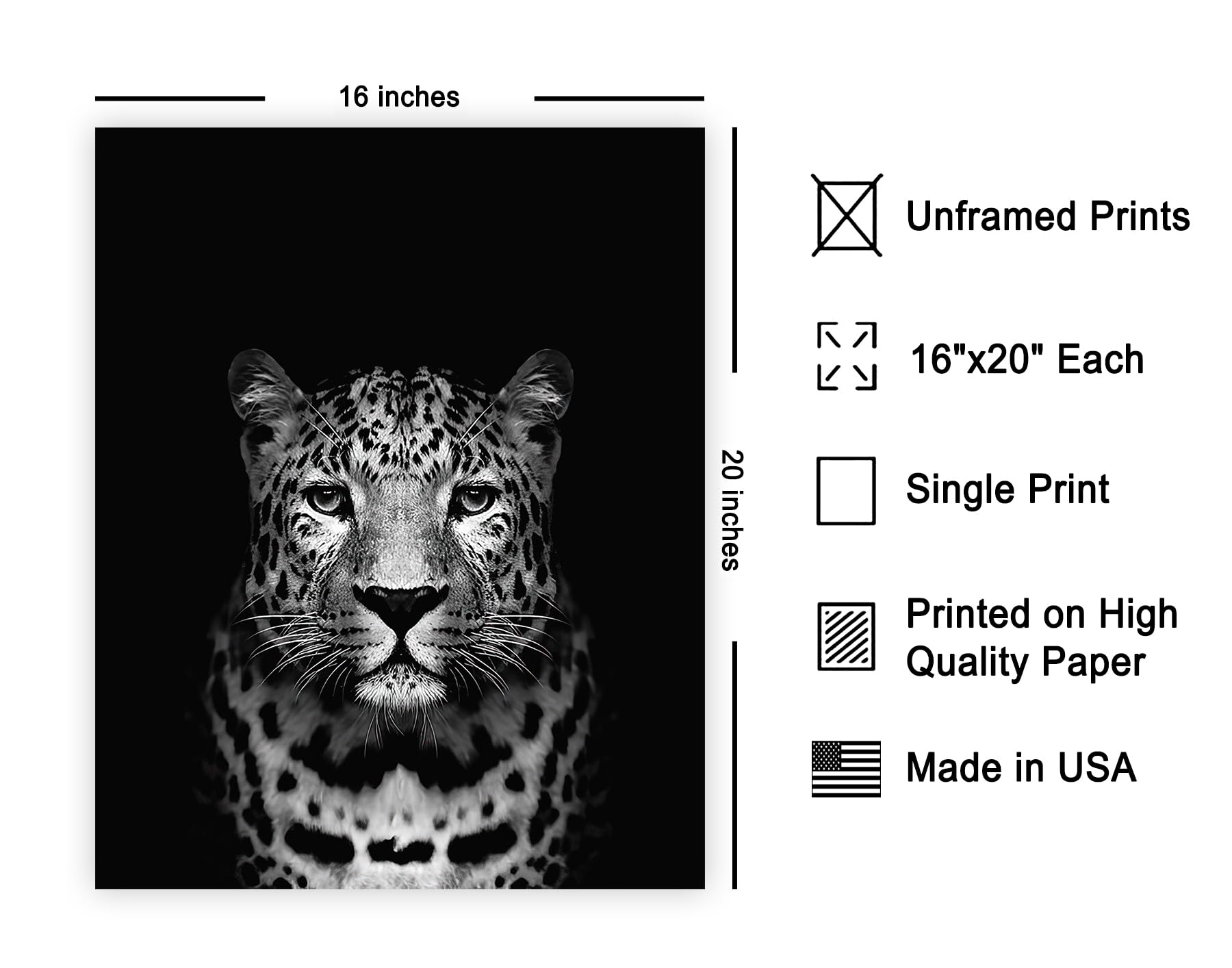 Poster Master Vintage Photograph Poster - Retro Animal Print - Leopard, Minimalist, Fierce, Black & White, Simple - 16x20 UNFRAM