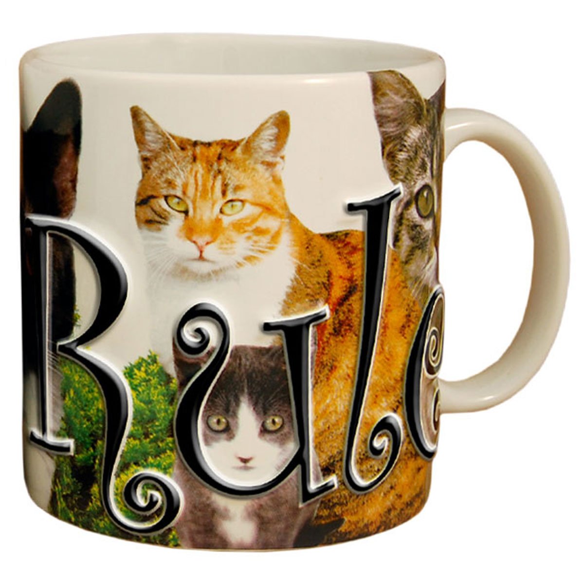 Americaware Pmcat01 18Oz. Ceramic Cats Rule Mugs