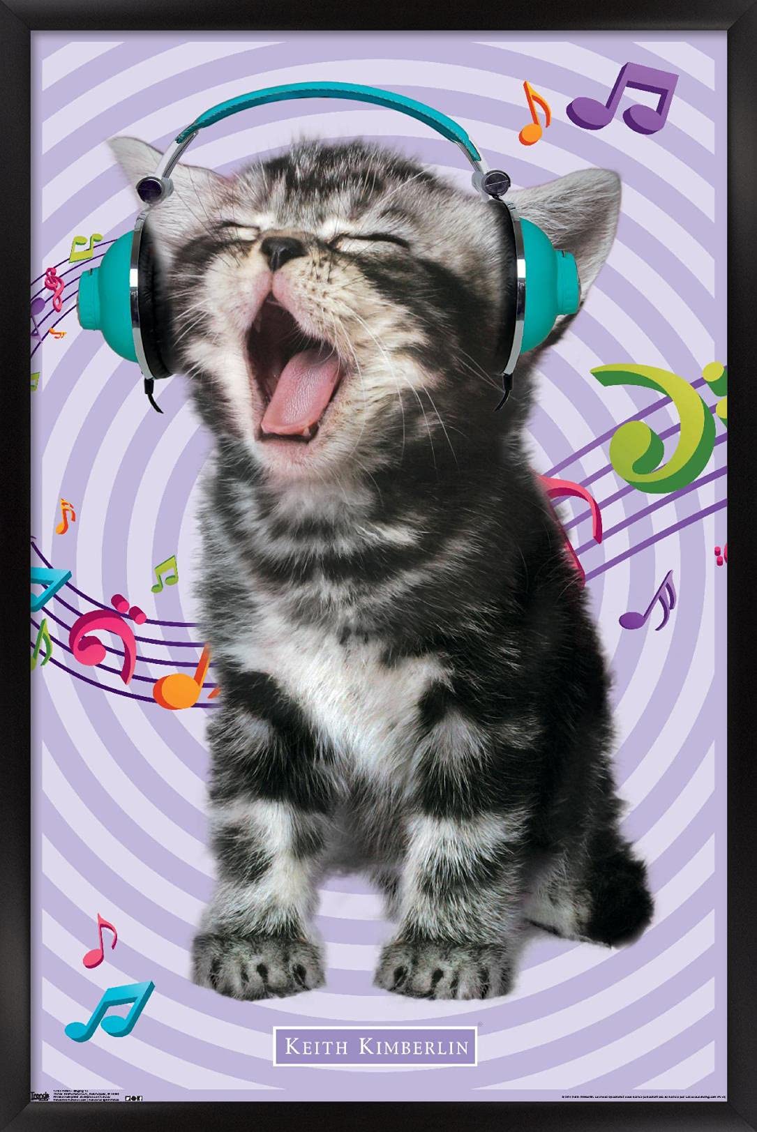 Trends International Keith Kimberlin - Kitten - Singing Wall Poster, 22.375'' X 34'', Black Framed Version