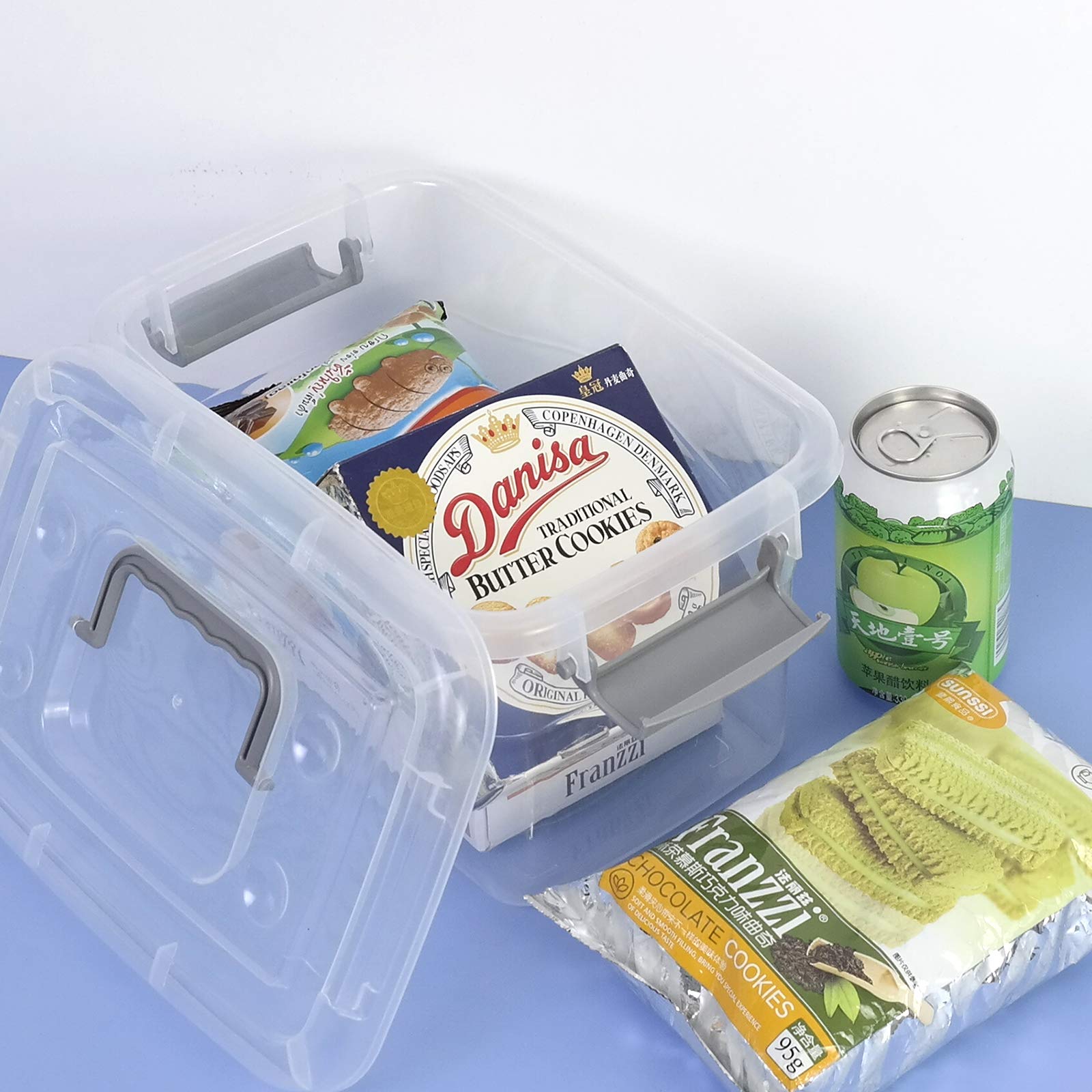 Joyeen Small Plastic Storage Totes, Clear Storage Boxes Set Of 6