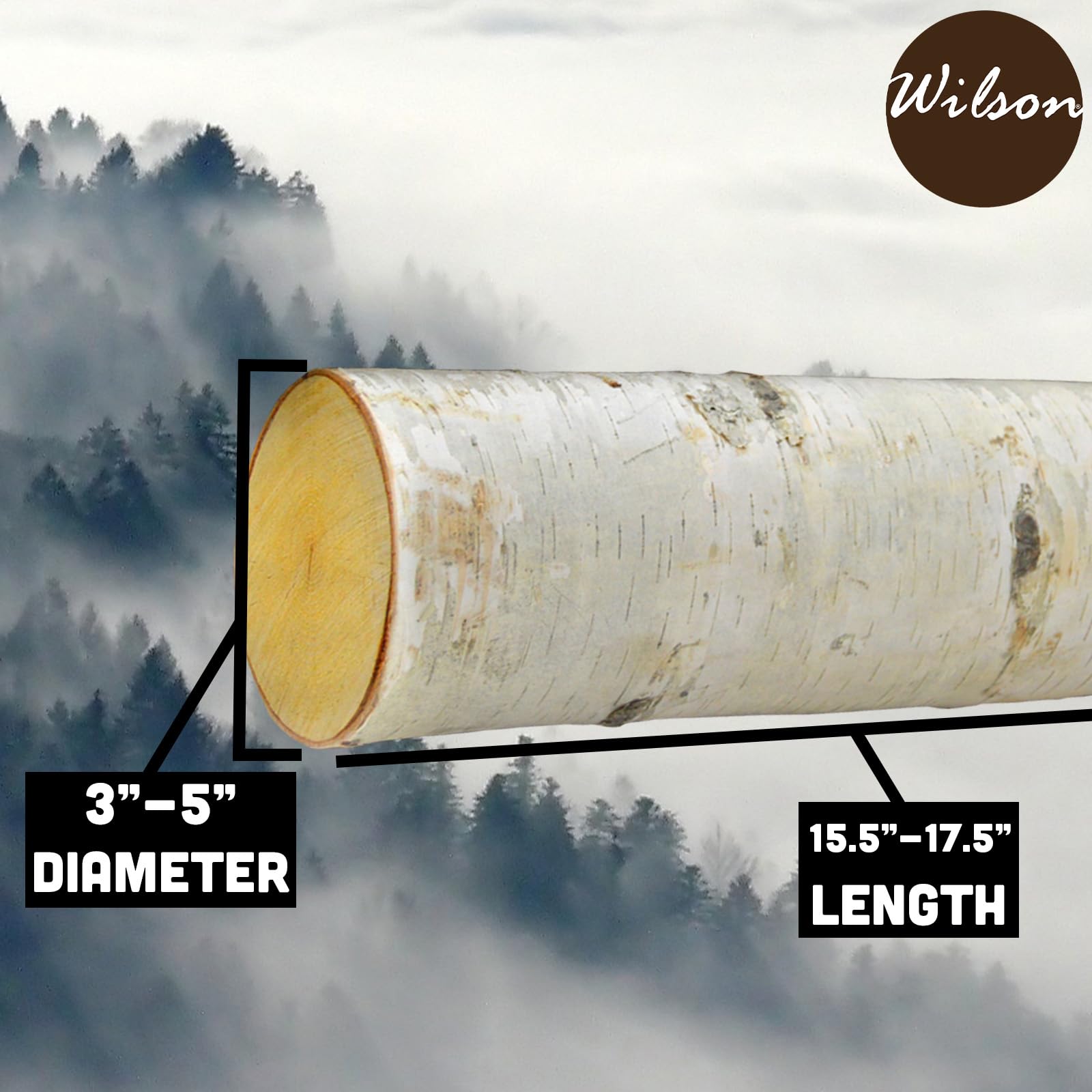 Wilson Birch Fireplace Large Log Set (5 Logs: 3''-5'' Dia. X 15.5-17.5'' Long)