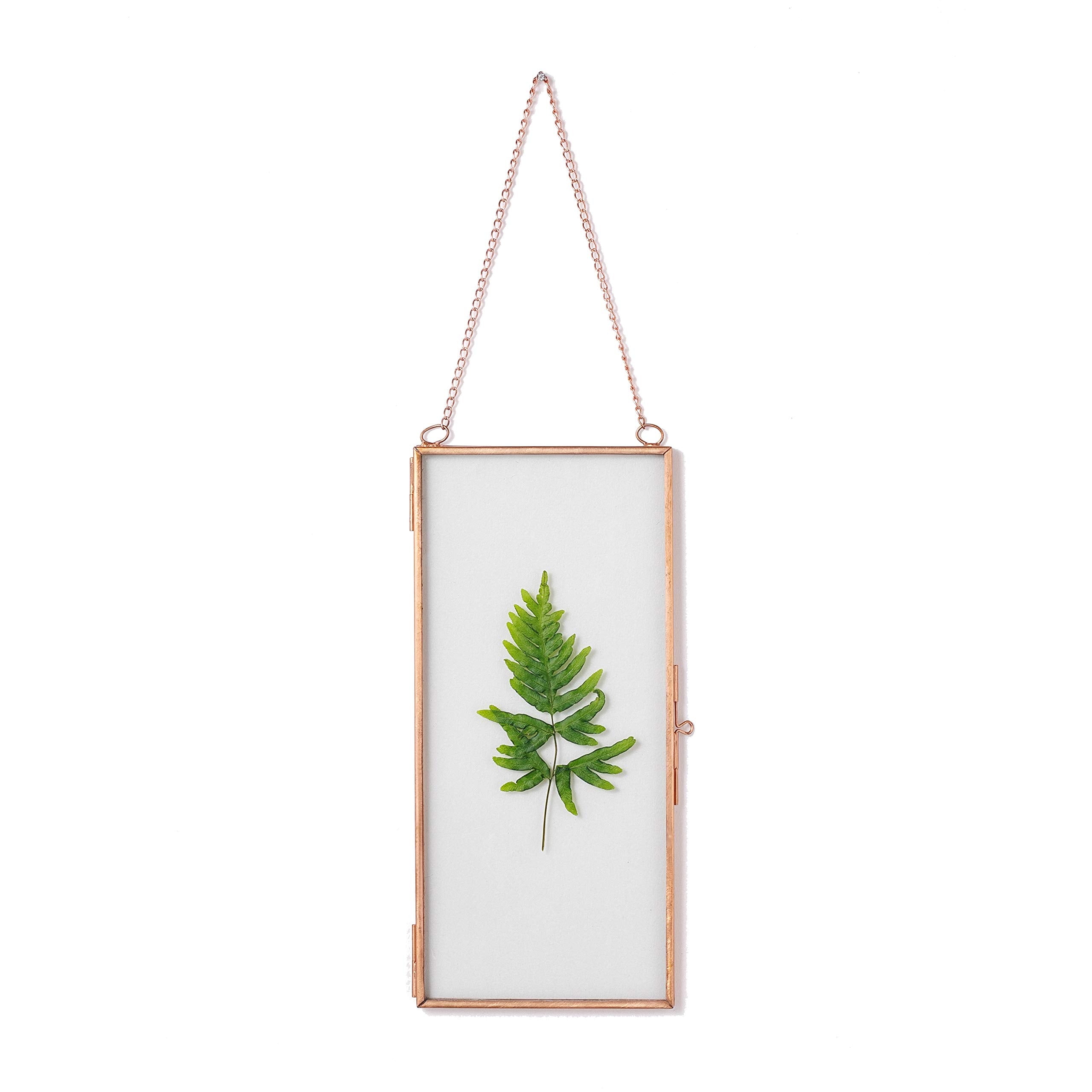 NCYP Hanging Glass Floating Frame with Chain for Pressed Dried Flowers, Display Picture, Photo - 4.1 x 9 Inches - Home Wall Moun