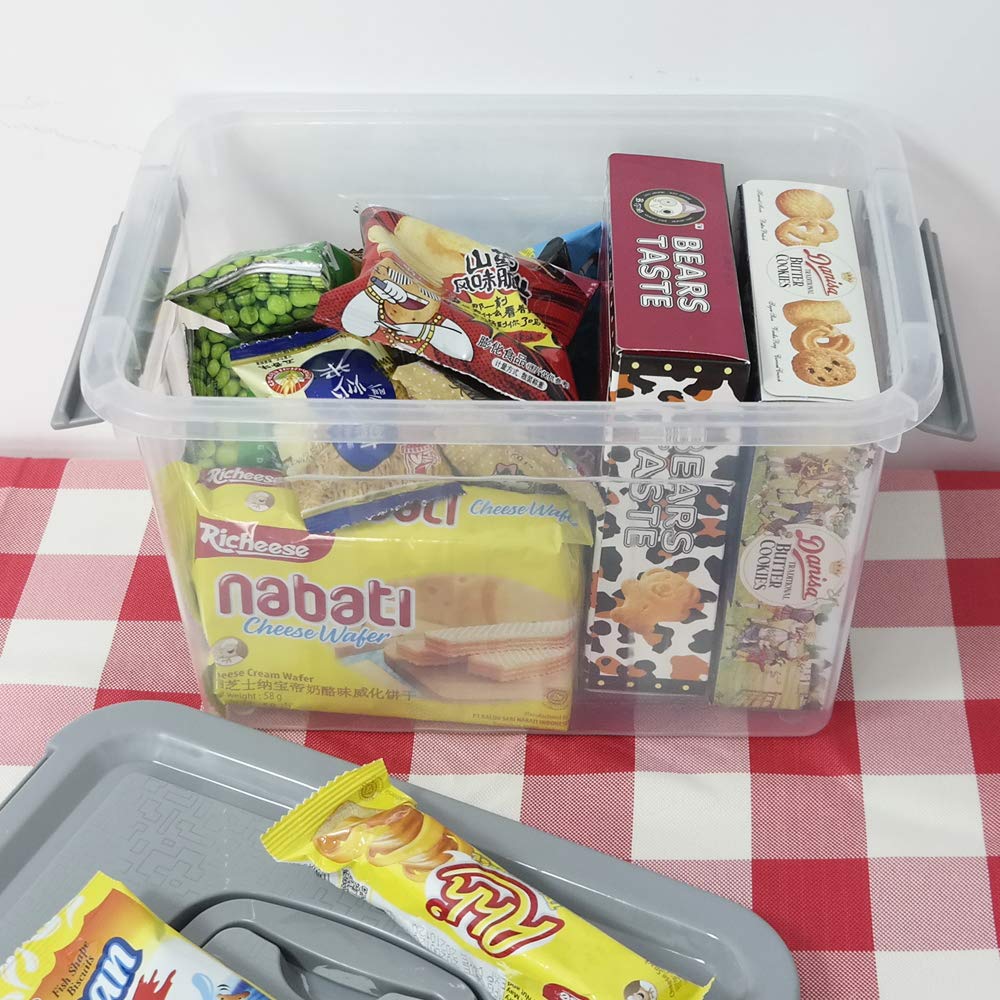 Ggbin 6 Quart Clear Latch Storage Box, 4 Pack Small Organizer Bins With Lids