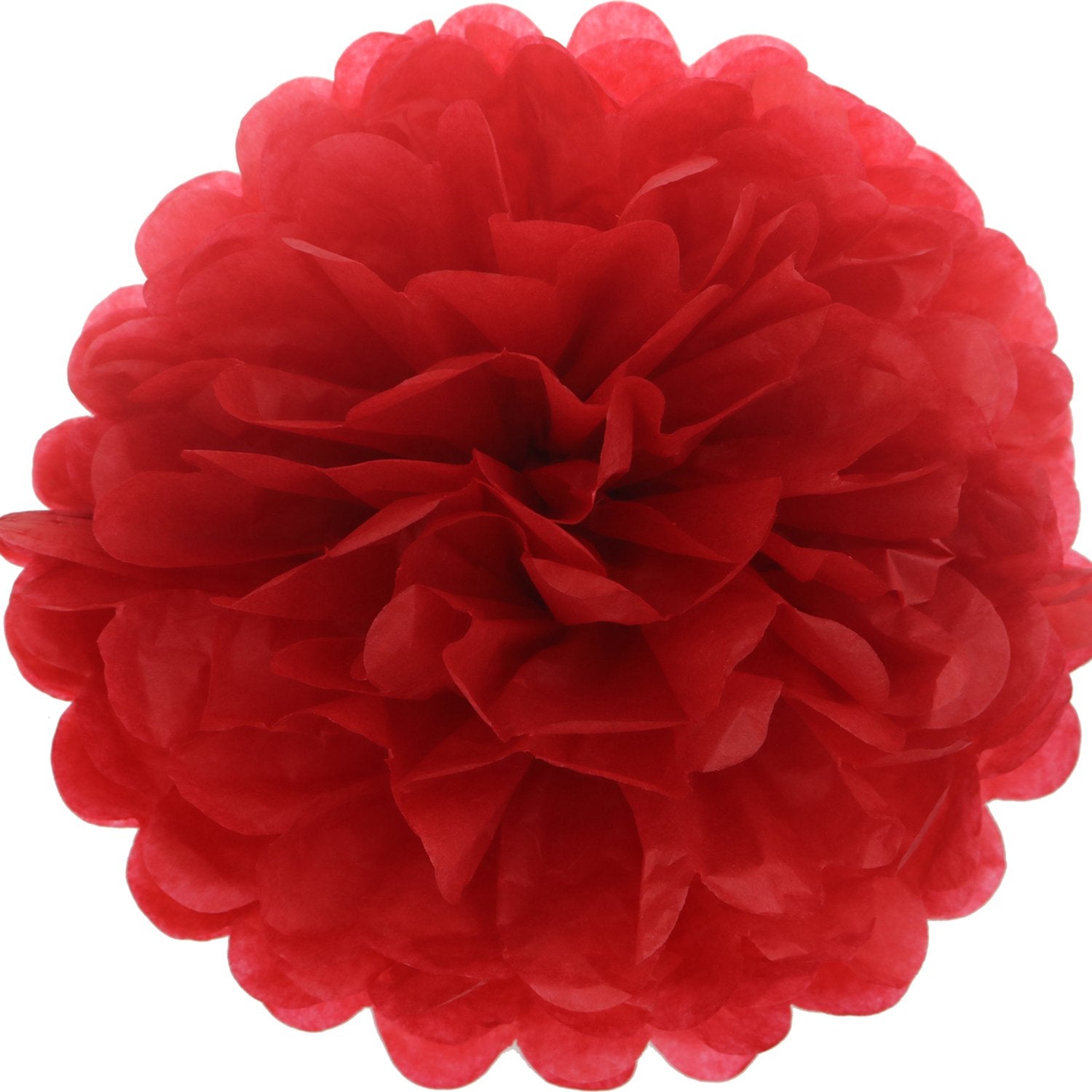 Lightingsky 10Pcs Diy Decorative Tissue Paper Pom-Poms Flowers Ball Perfect For Party Wedding Home Outdoor Decoration (10-Inch D