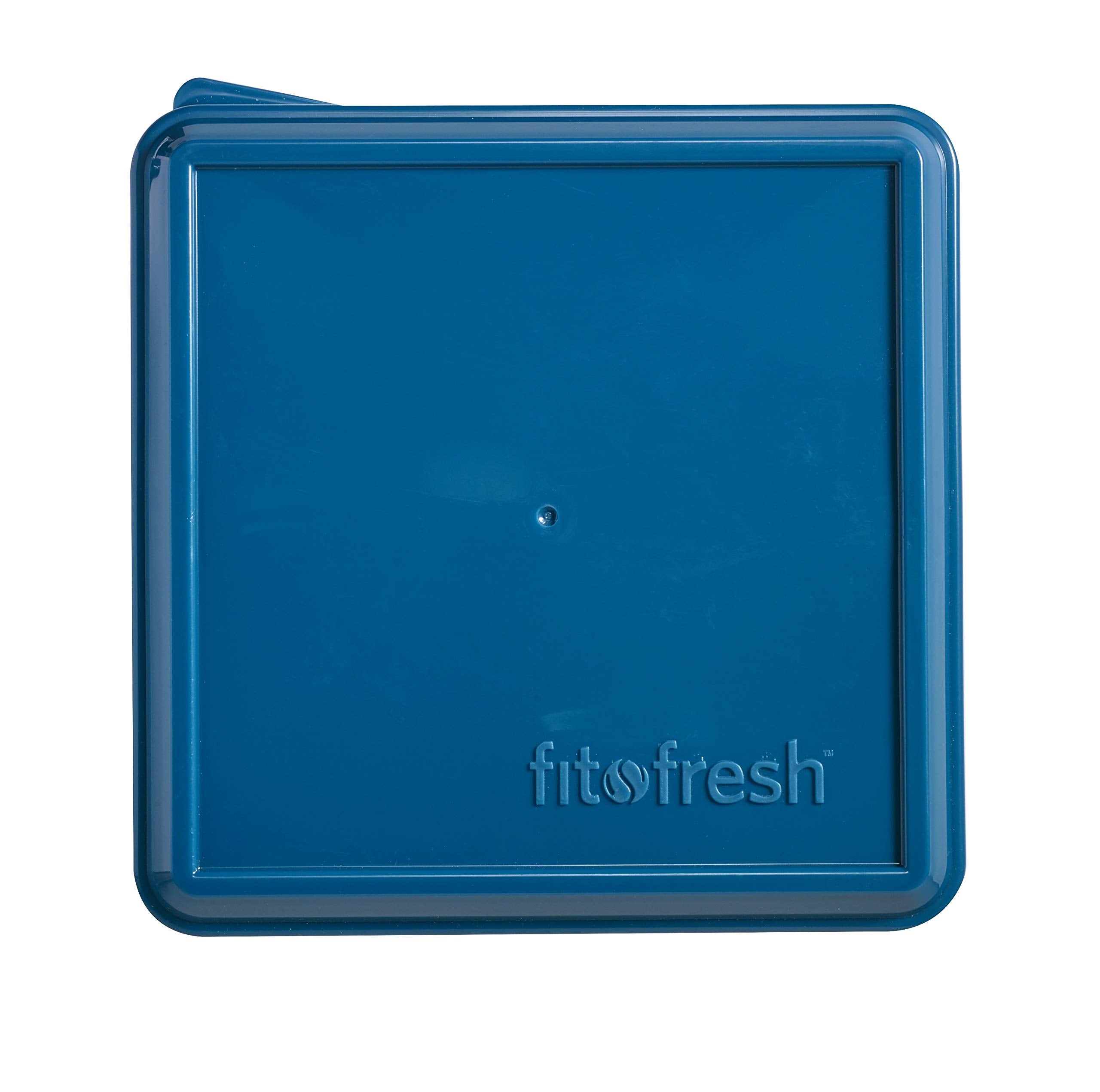 Fit & Fresh Divided Carrier With Removable Ice Lunch Pack, 5.75'' X 6'' X 3.625'', Colors May Vary