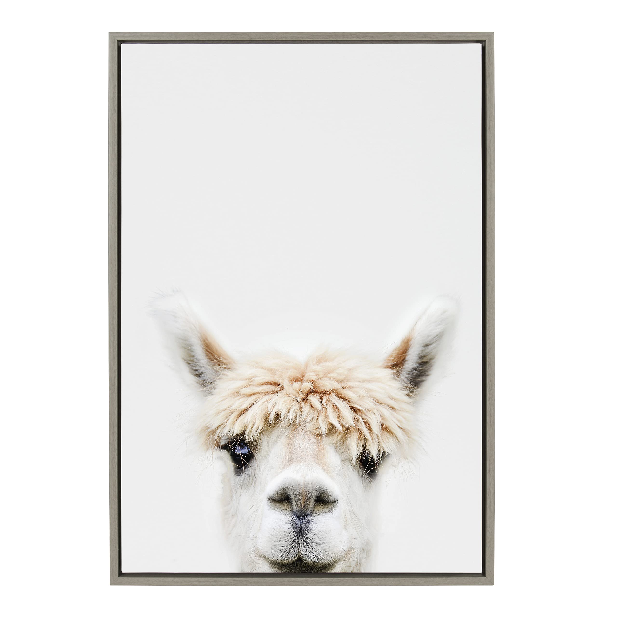 Kate And Laurel Sylvie Alpaca Bangs Framed Canvas Wall Art By Amy Peterson Art Studio, 23X33 Gray, Decorative Adorable Animal Ar