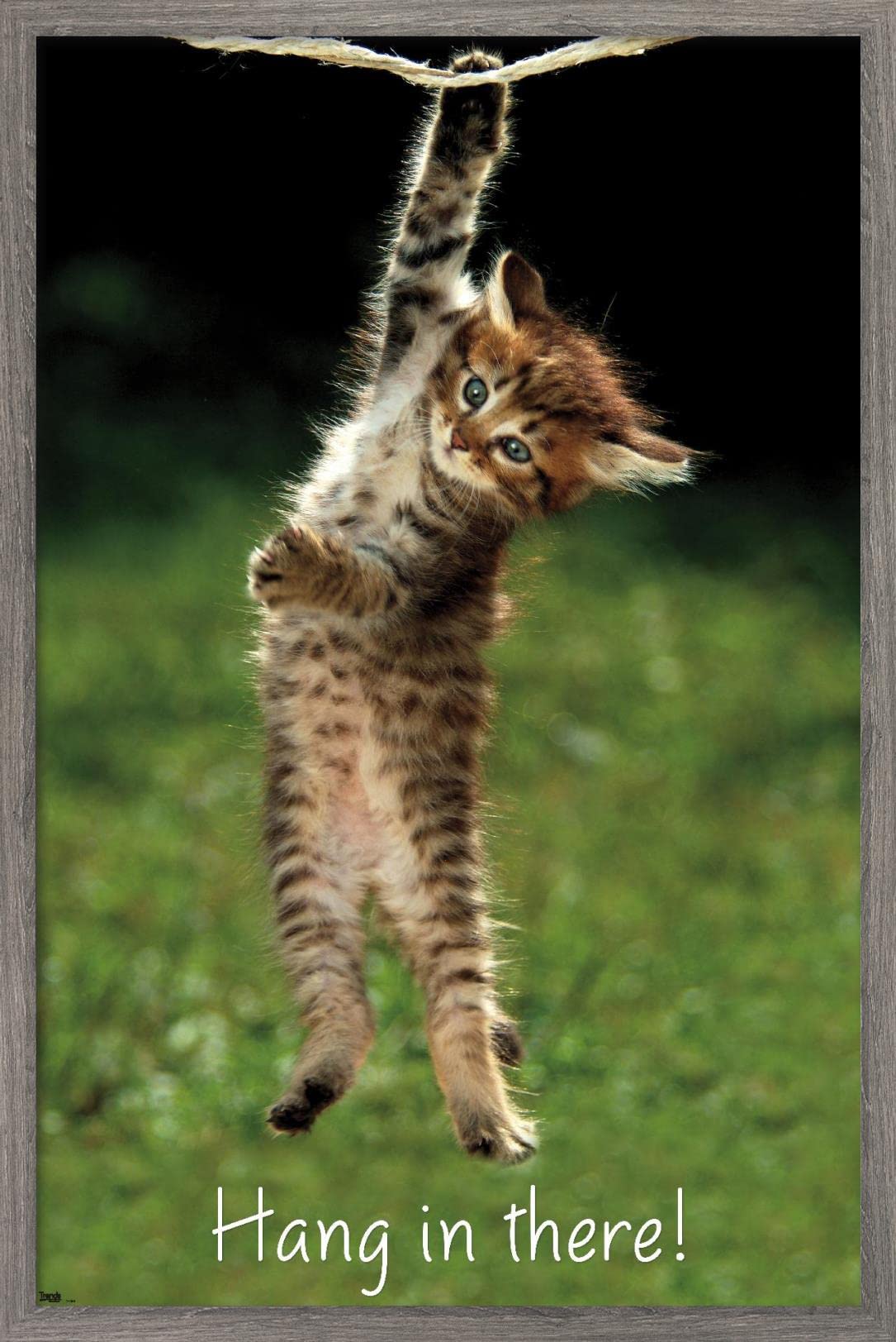 Trends International Famous Kitten Hang In There Poster Wall Poster, 22.37'' X 34.00'', Barnwood Framed Version