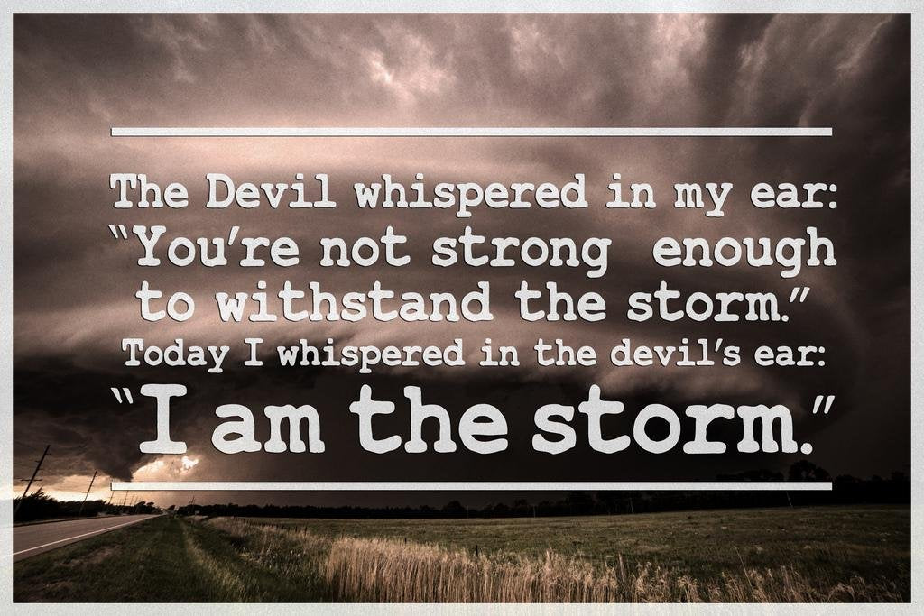 I Am The Storm Quote Motivational Laminated Dry Erase Sign Poster 12X18