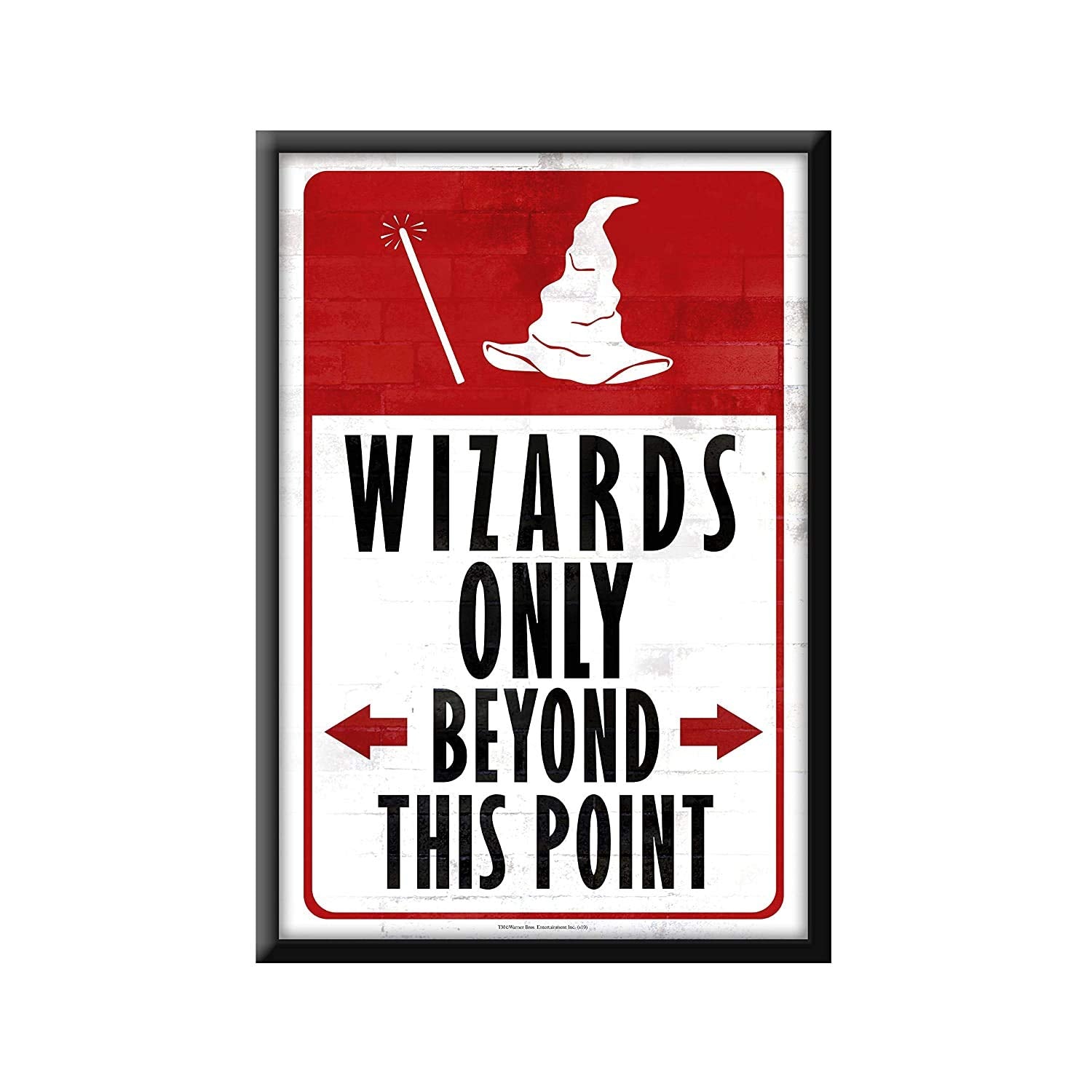 MCSID RAZZ Harry Potter Wall Poster Best Gift for Friendship Day, Rakhi, Diwali & Christmas Day (Wizards Only)