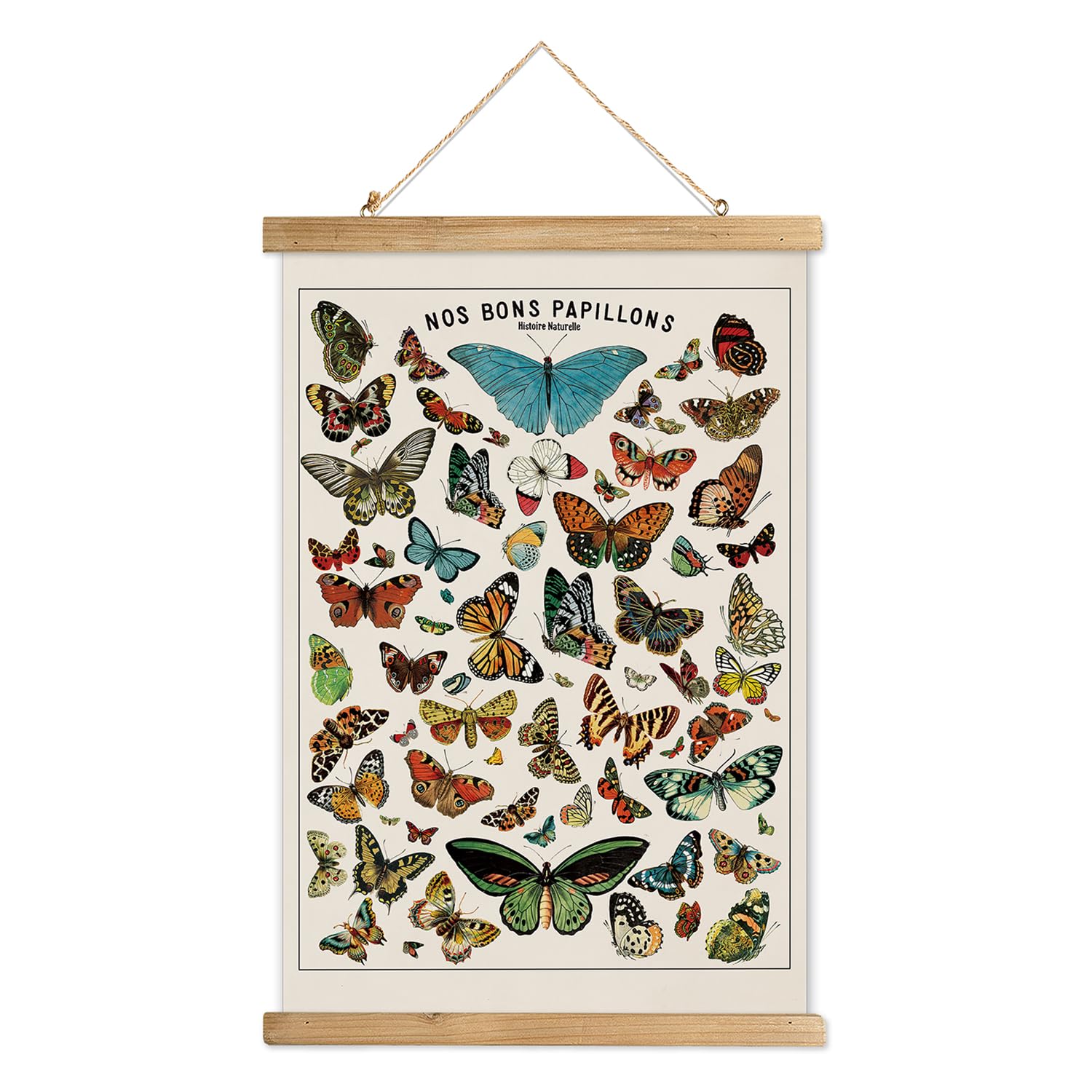 Xiaoaika Vintage Butterfly Poster Hanger Frame, Cottagecore Room Decor Aesthetic, Retro Style Wall Decor Art Painting, Patterns