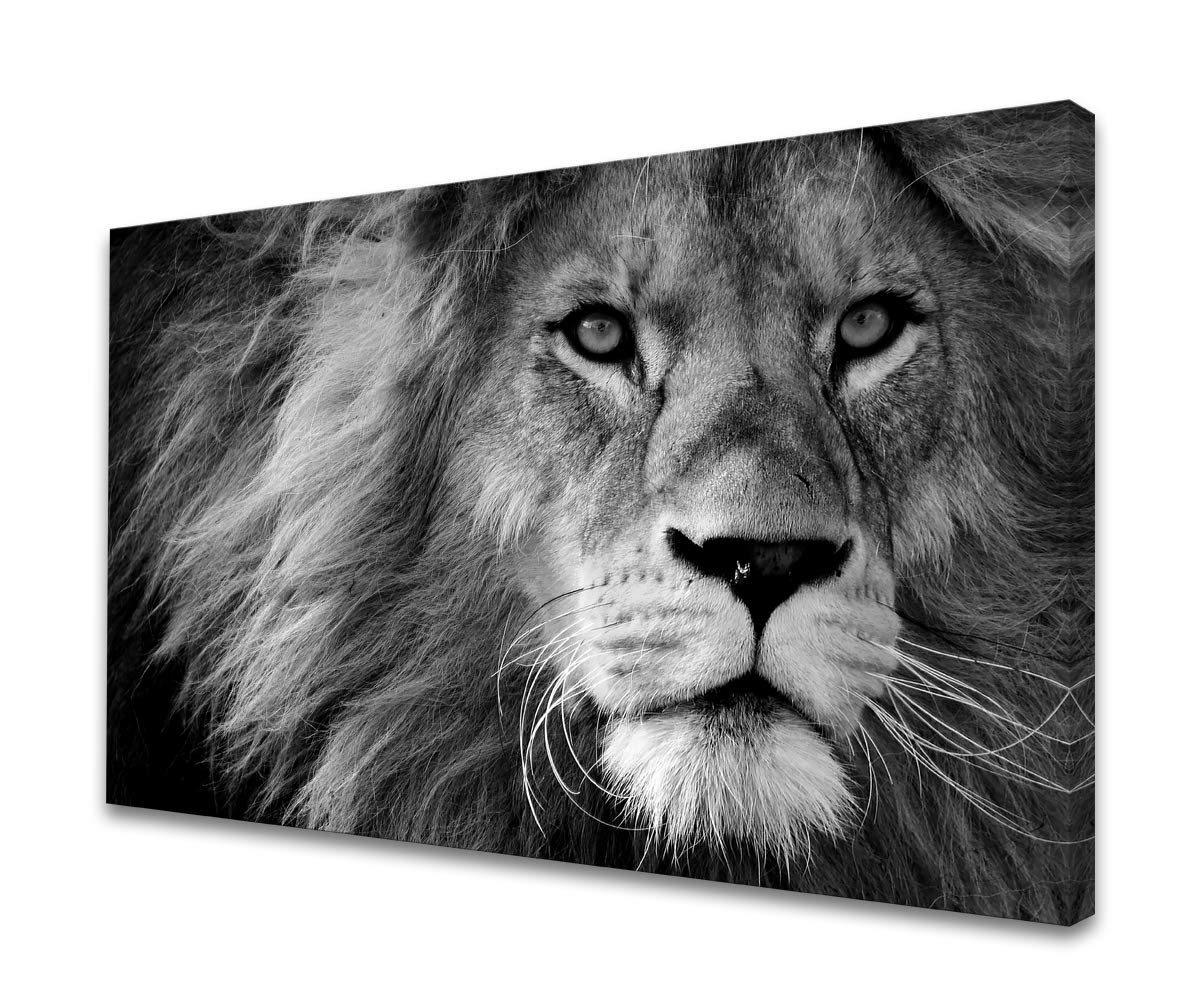 Baisuart D0169 Modern Giclee Canvas Prints Wall Art Stretched Artwork Black And White Lion Pictures To Photo Paintings On Canvas