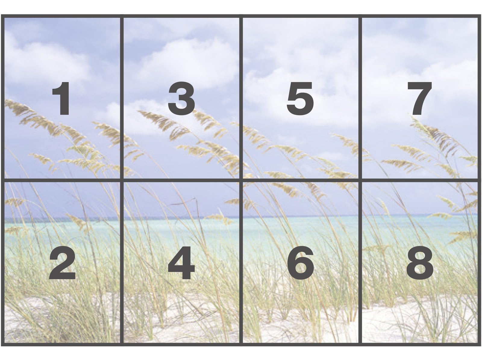 Brewster 8-515 Komar Wall Mural With Paste Ocean Breeze, 12-Foot 1-Inch By 8-Foot 4-Inch