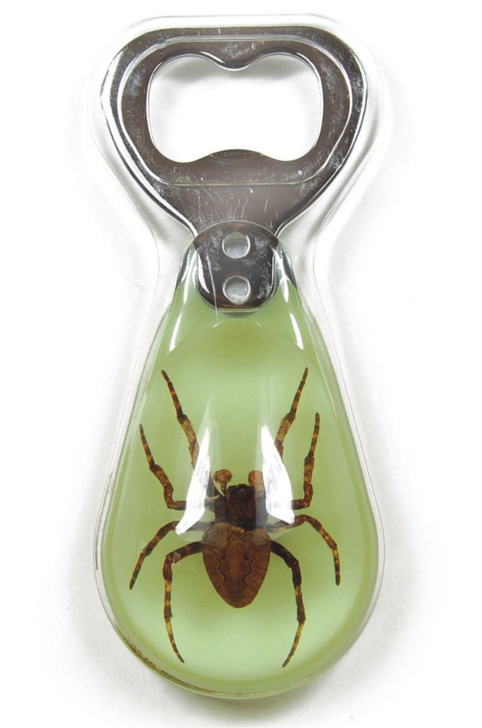 Spider Bottle Opener With Magnet