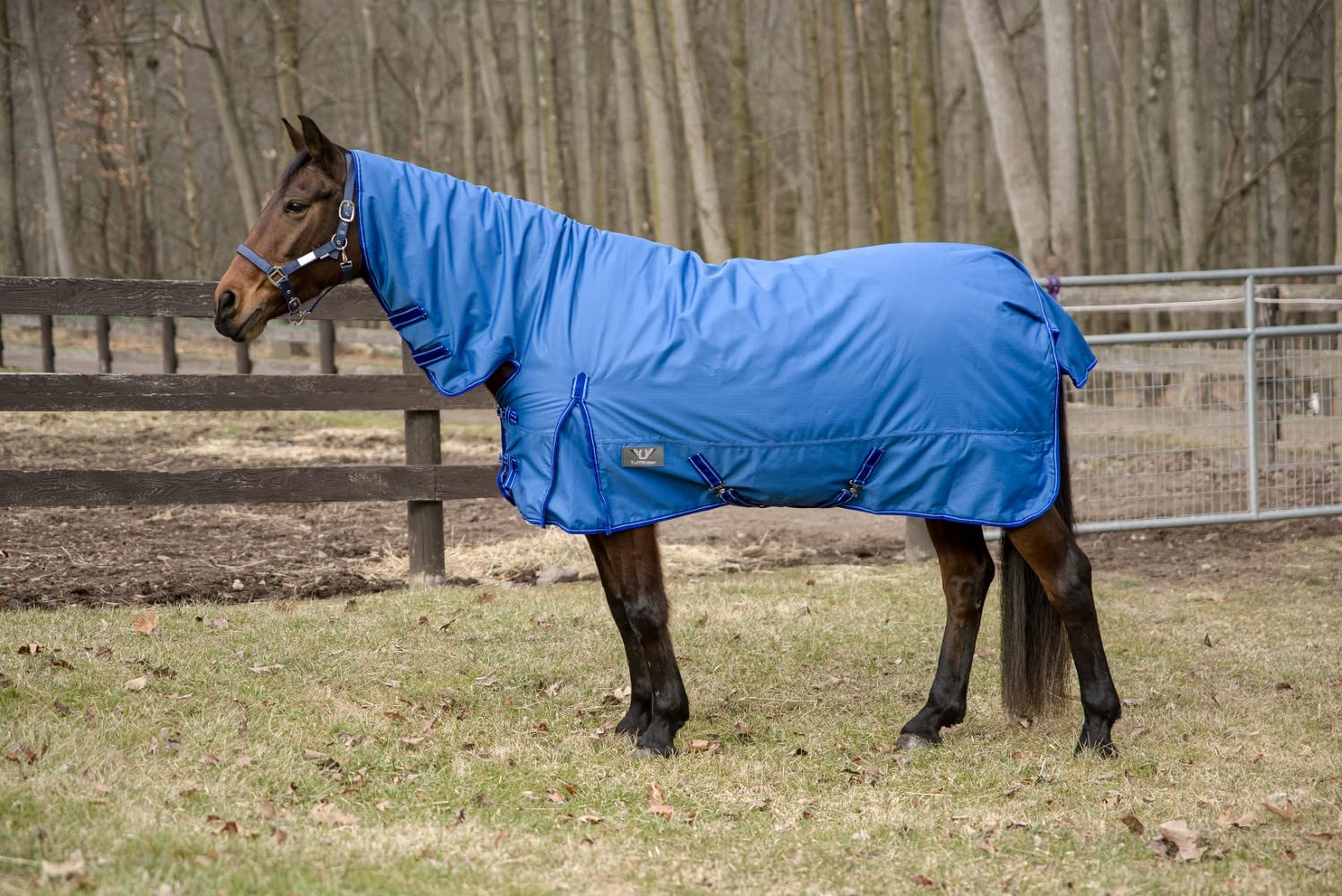 Tuffrider 600 D Comfy Winter Medium Weight Turnout Blanket Wcombo Neck- 200 Gms- Palace Blue- 75