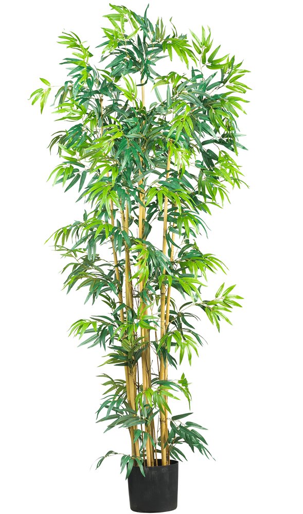 Nearly Natural 5214 Bambusa Bamboo Silk Tree, 6-Feet, Green, 72 in