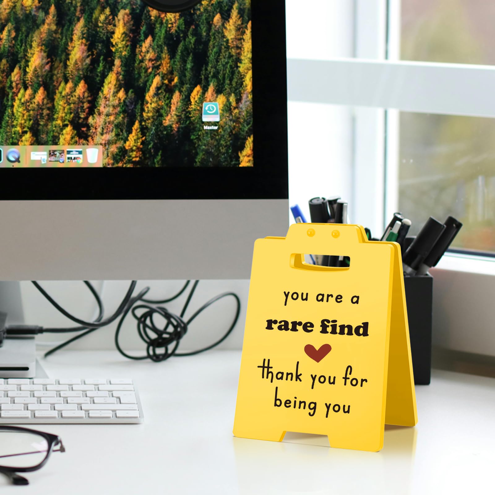 You Are A Rare Find Desk Sign, Appreciation Gifts for Coworkers, Friends | Office Cubicle Decorations for Women Desk, Thank you